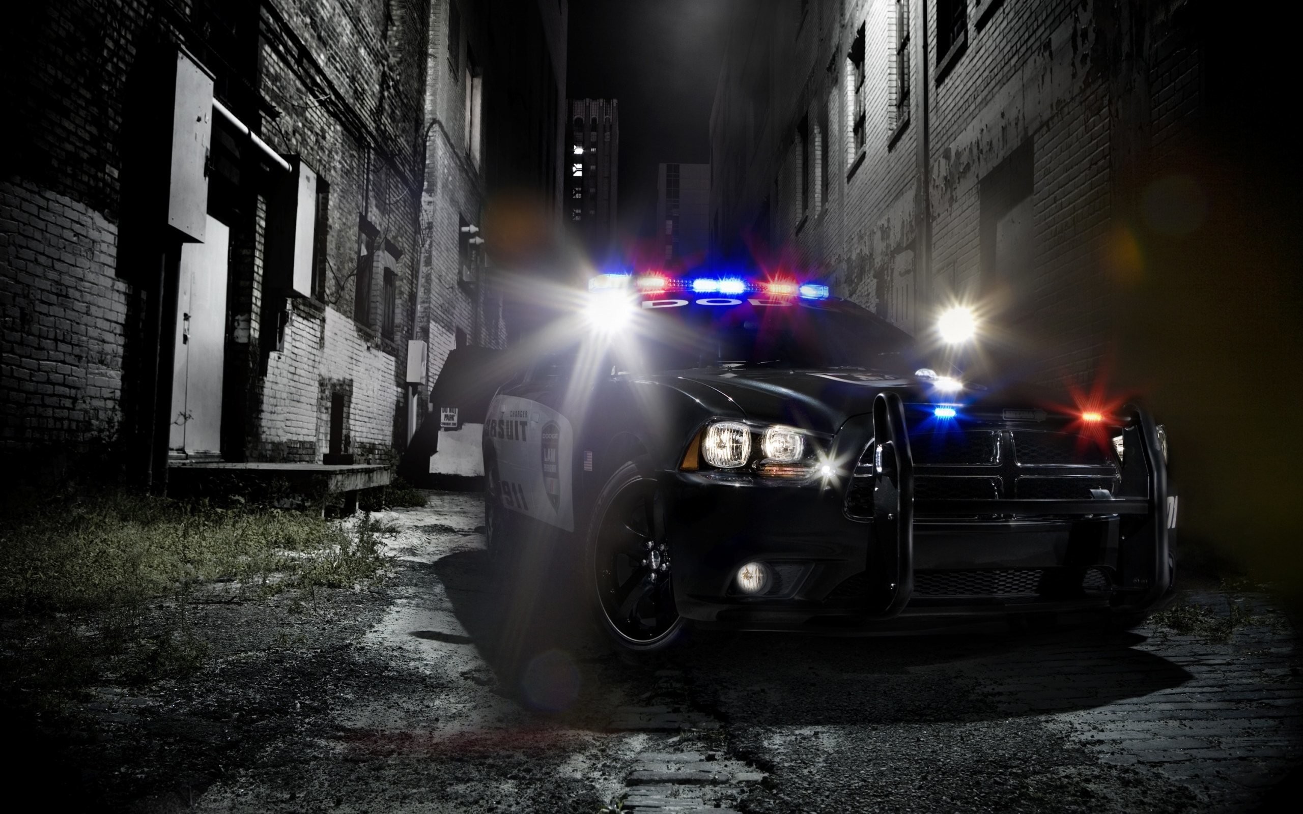 2560x1600 Police Car Picture