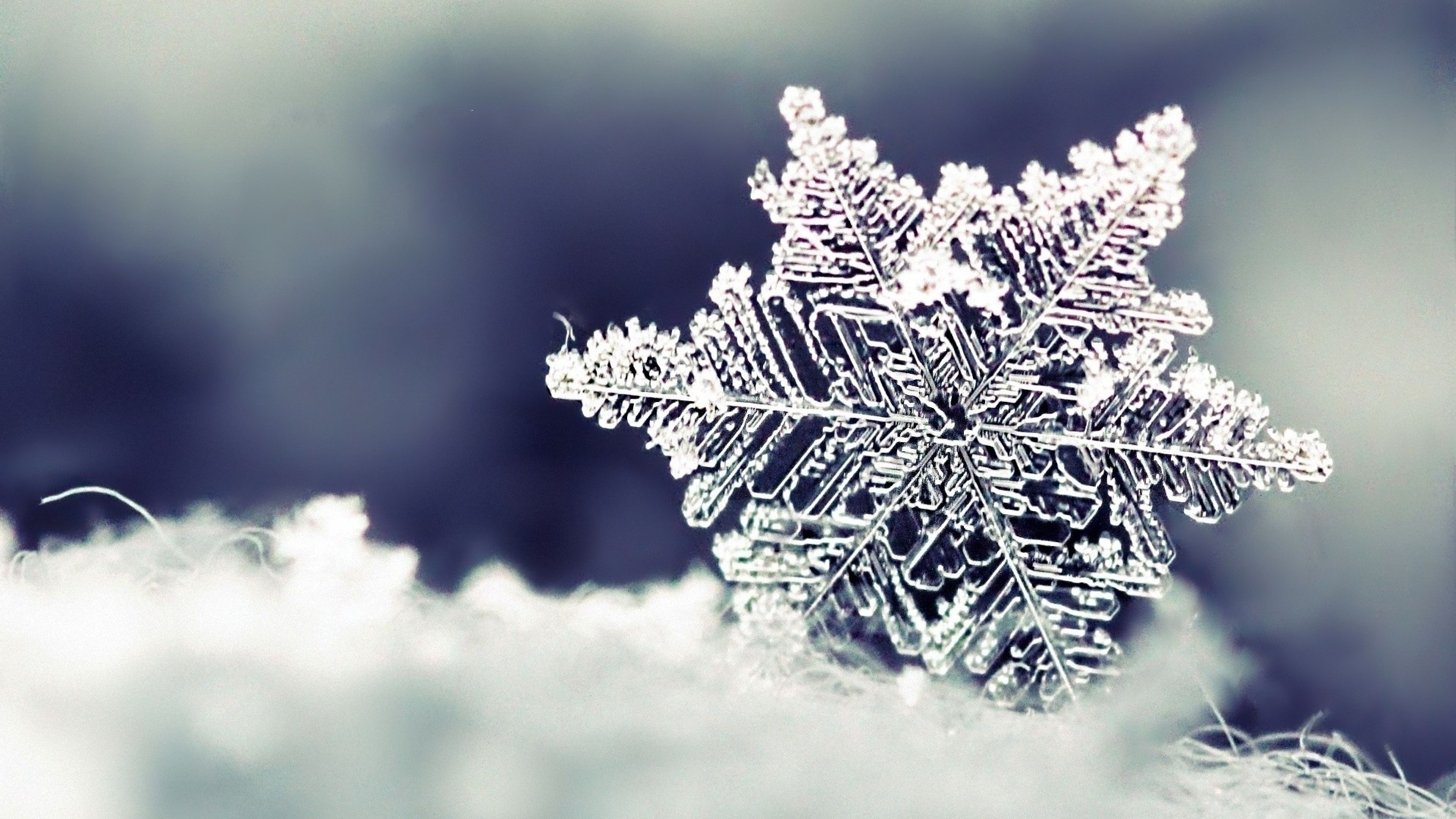 3840x2160  Wallpaper snow, snowflake, winter