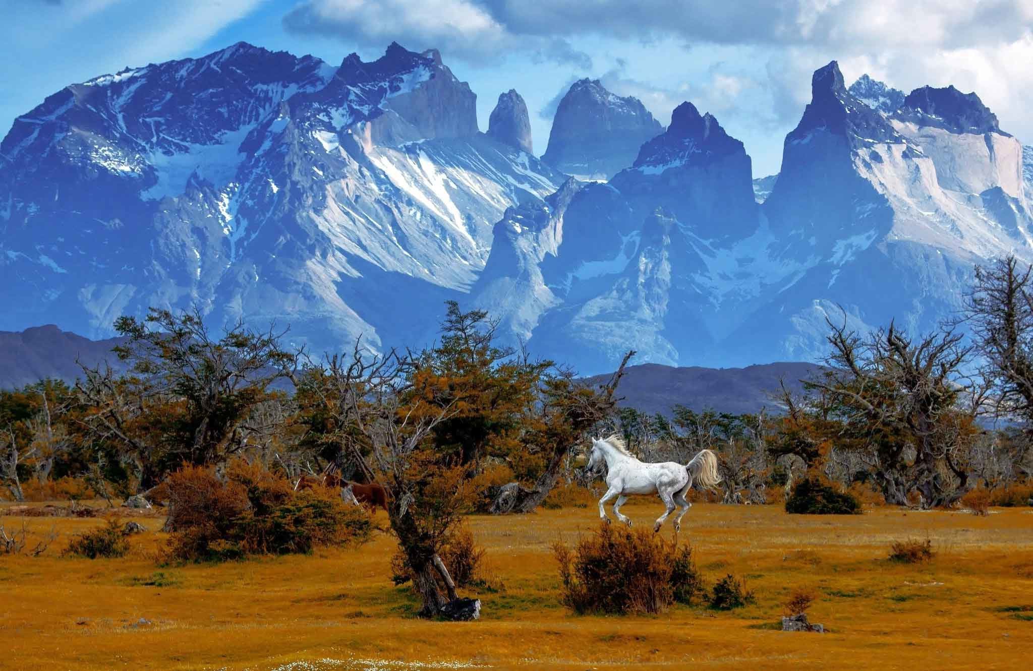 2048x1331 Landscapes Torres Chile Trees Autumn Patagonia Mountains Paine National  Horse Park Del Wallpapers Images Of Nature