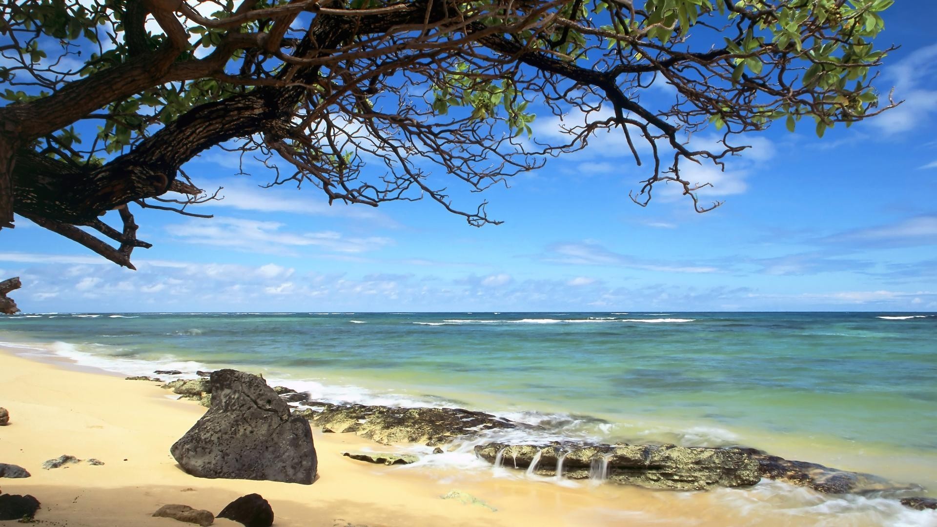 1920x1080 Oahu Tag - Oahu Nature Hawaii Beach Wallpapers Mobile for HD 16:9 High  Definition