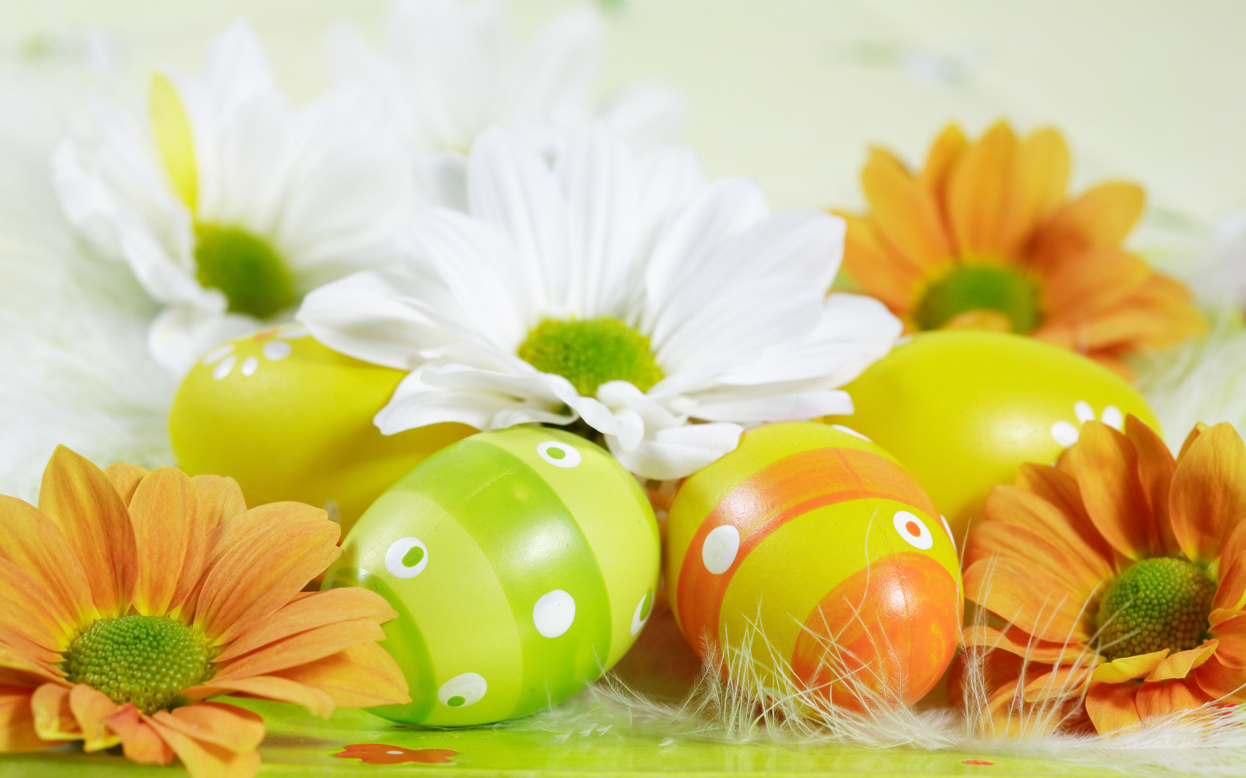 2560x1600 Easter Wallpaper Free