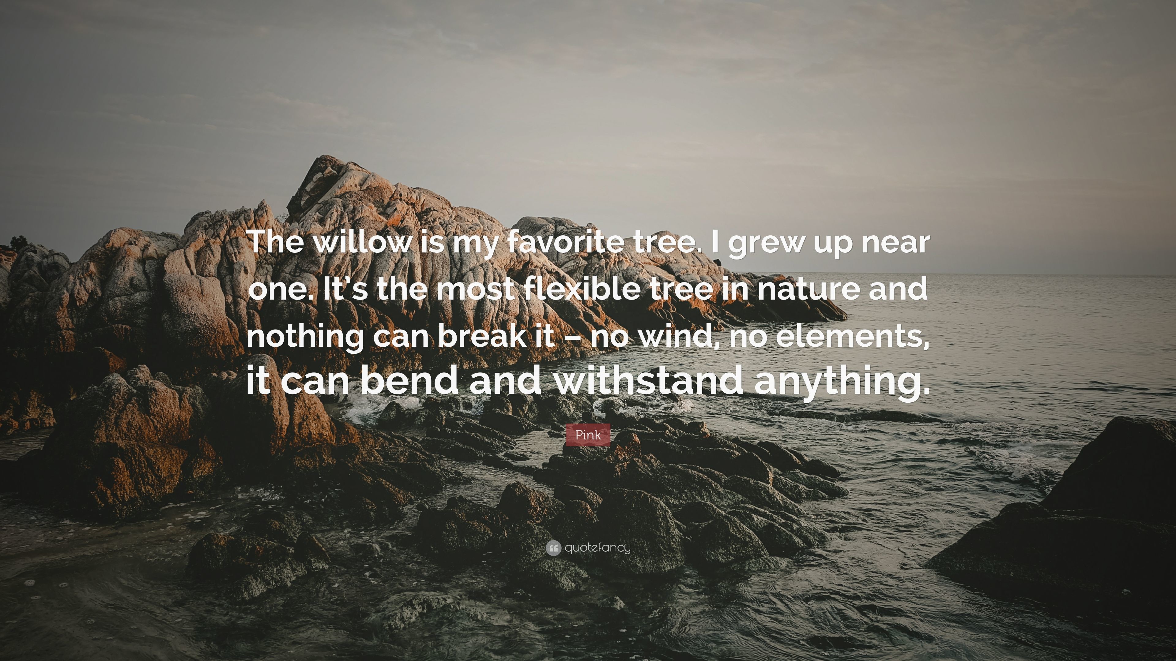 3840x2160 Pink Quote: “The willow is my favorite tree. I grew up near one