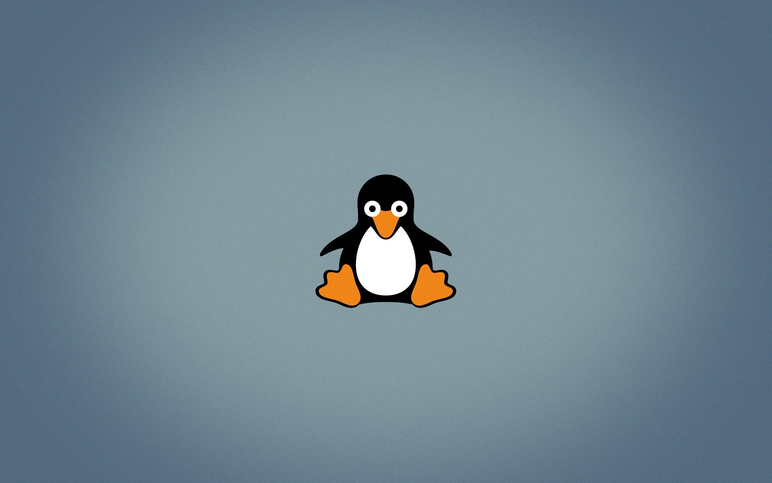 2560x1600 ... tux linux open source penguins logo wallpapers hd desktop ...