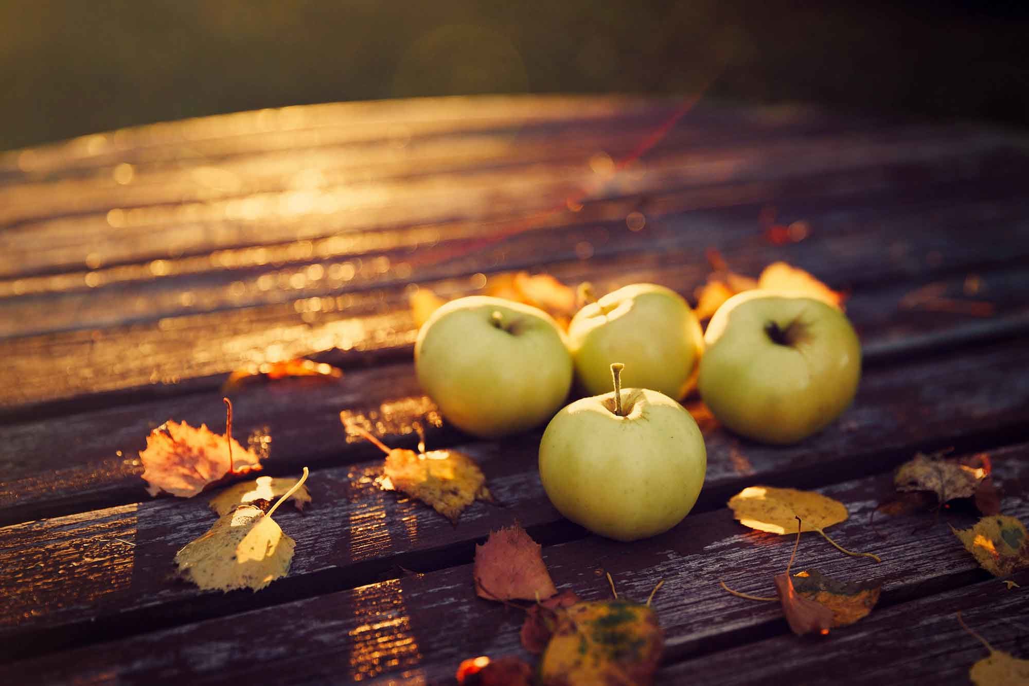 2000x1333 Fruits Table Autumn Apples Harvest Leaves Screensavers Wallpapers Nature