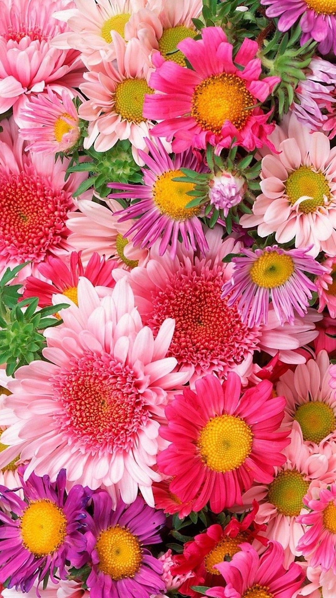 1080x1920 Pink Flower Background For Android is best high definition wallpaper image  2018. You can use this wallpaper as background for your desktop Computer ...