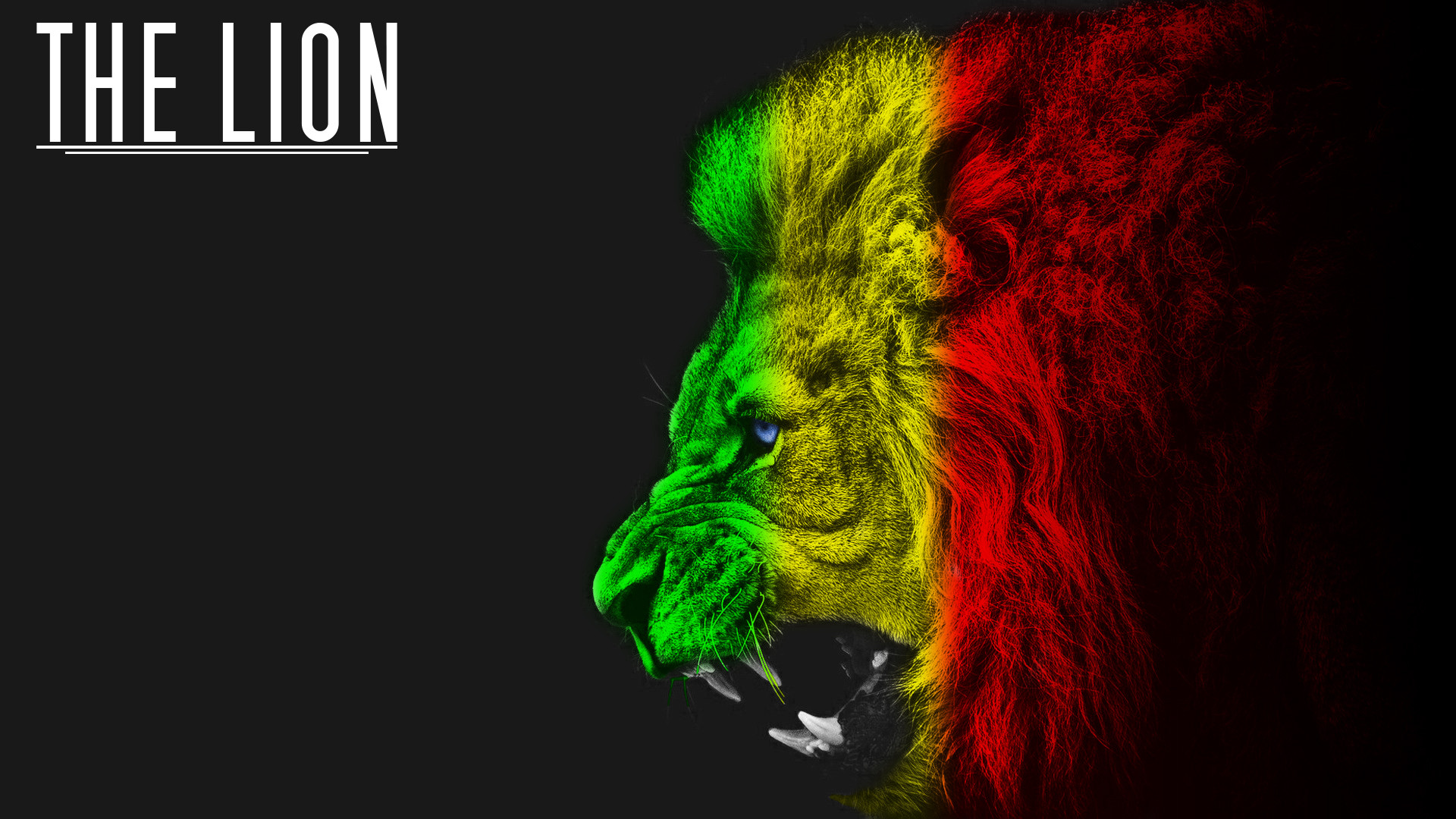 1920x1080 ... The Lion (Wallpaper) by Th3TwisteD