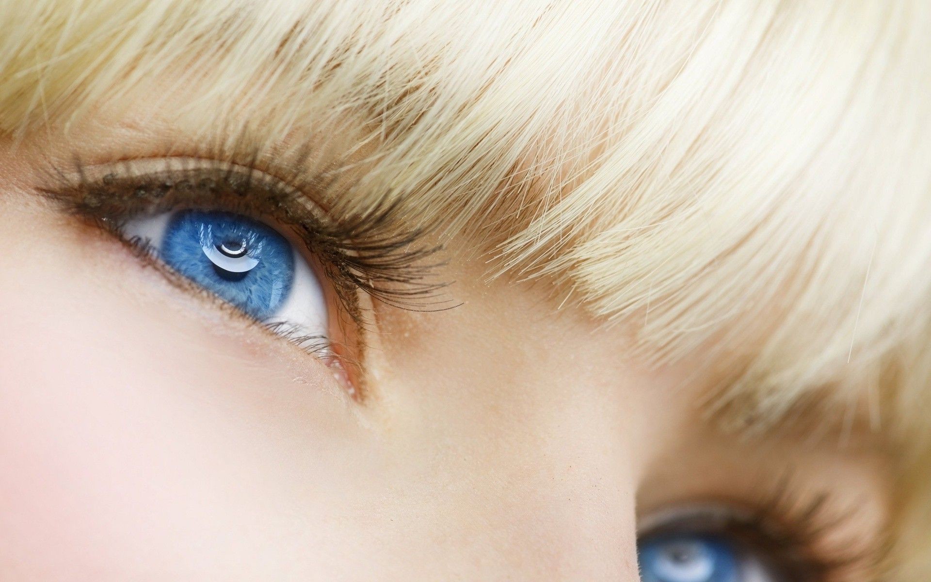 1920x1200 ... Blue eyes close-up HD Wallpaper 