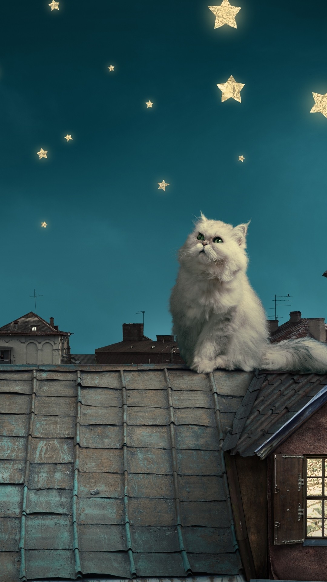 1080x1920 White Persian Cat Kitten Fairy Tale Fantasy Roofs Houses Sky Night Stars  Moon iPhone 8 wallpaper