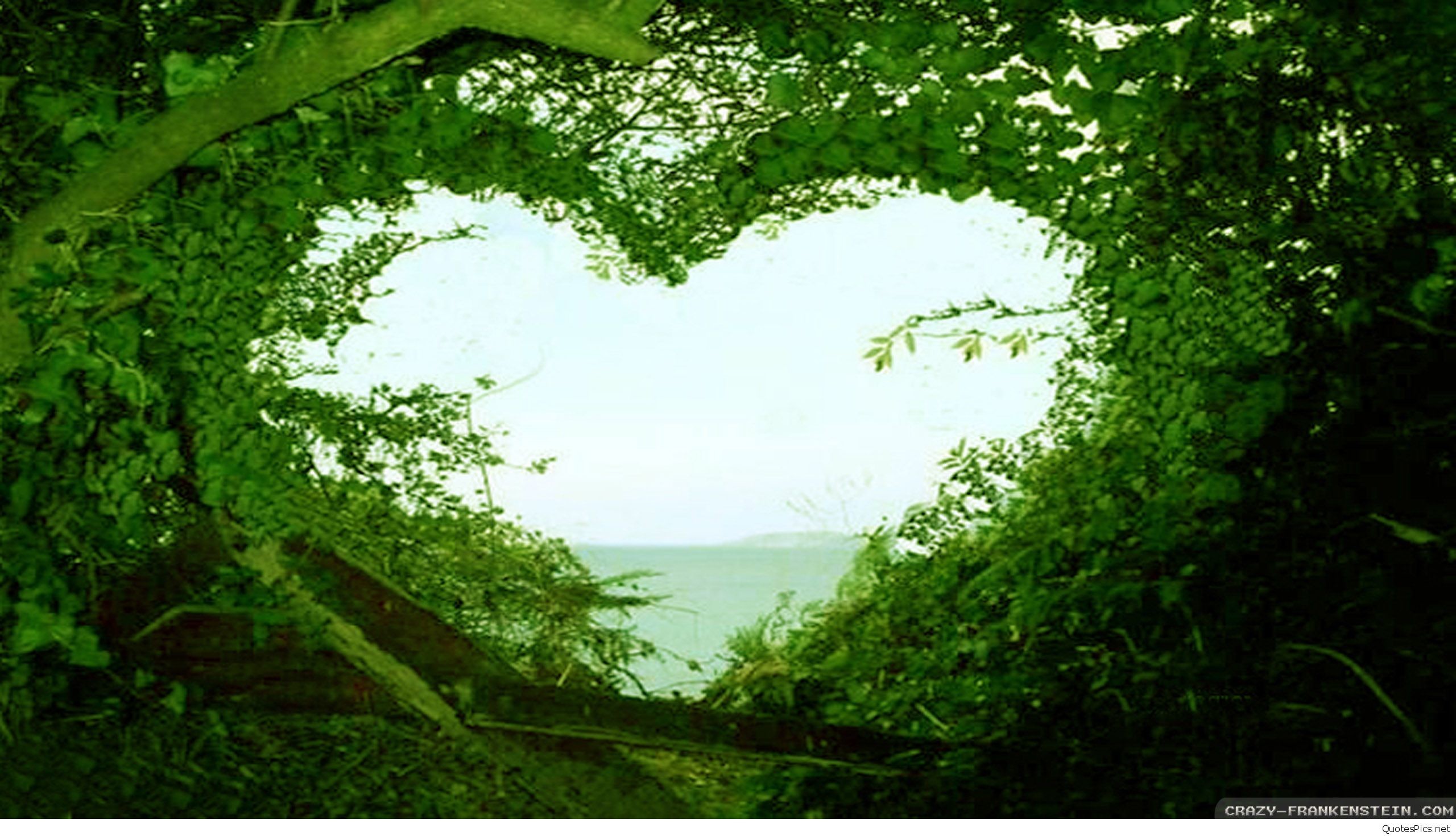 2560x1470 beautiful-love-nature-wallpaper-hd-desktop-wallpapers-love-