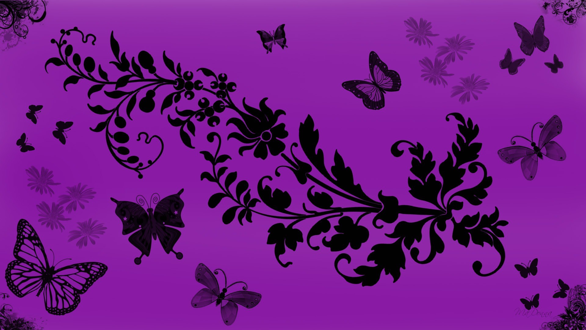 1920x1080 Purple Butterfly Wallpaper Hd For Free Wallpaper