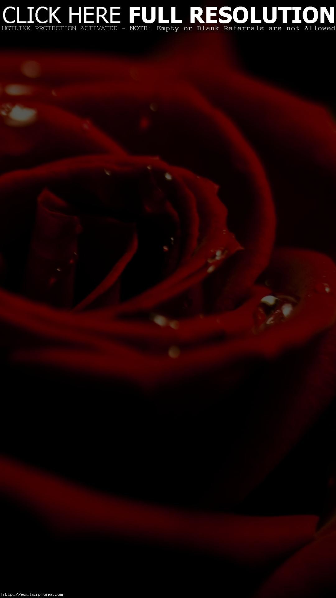 1080x1920 iPhone 8. 3D Rose Valentine