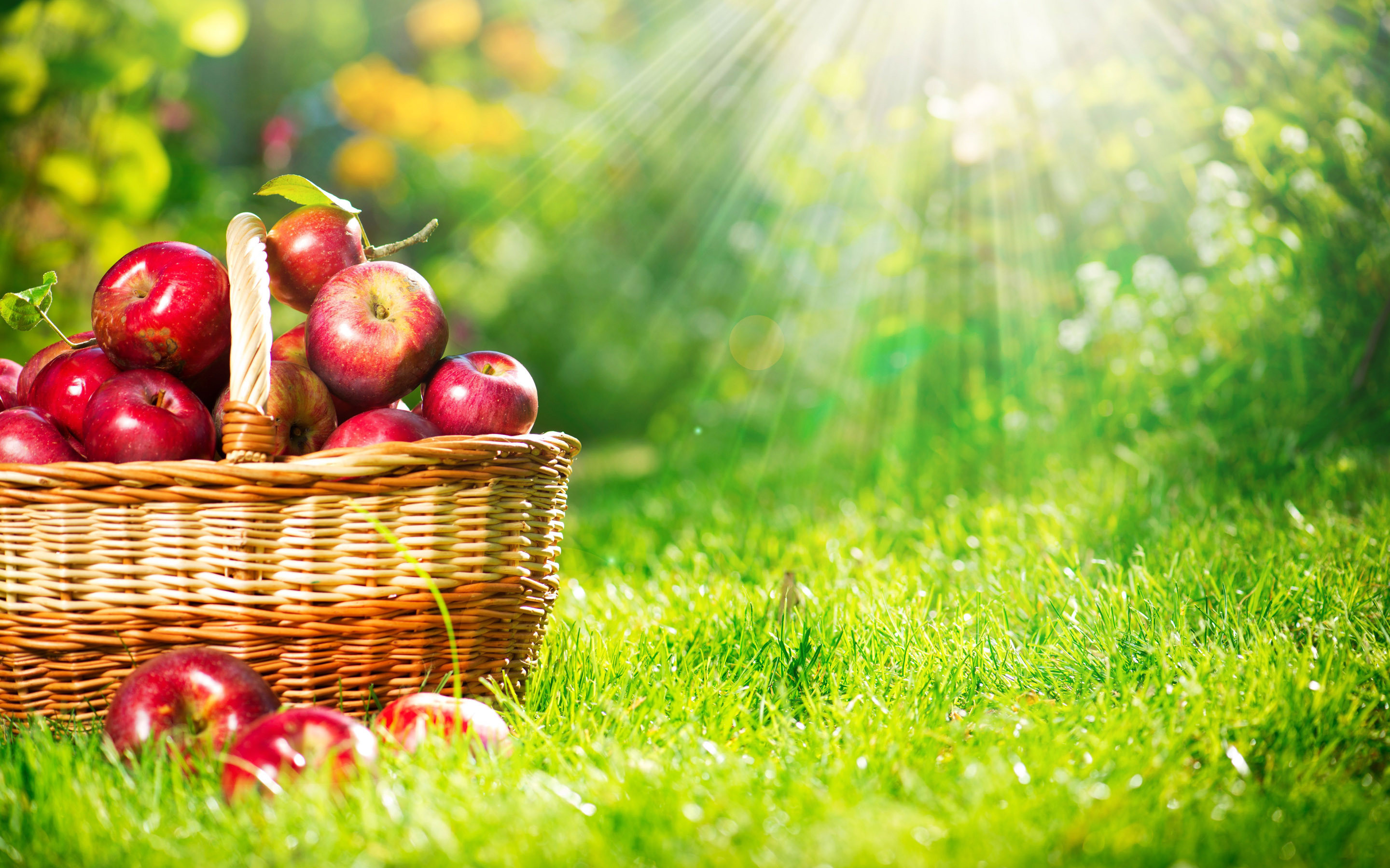 2880x1800 ... Basket of apples in the grass HD Wallpaper 