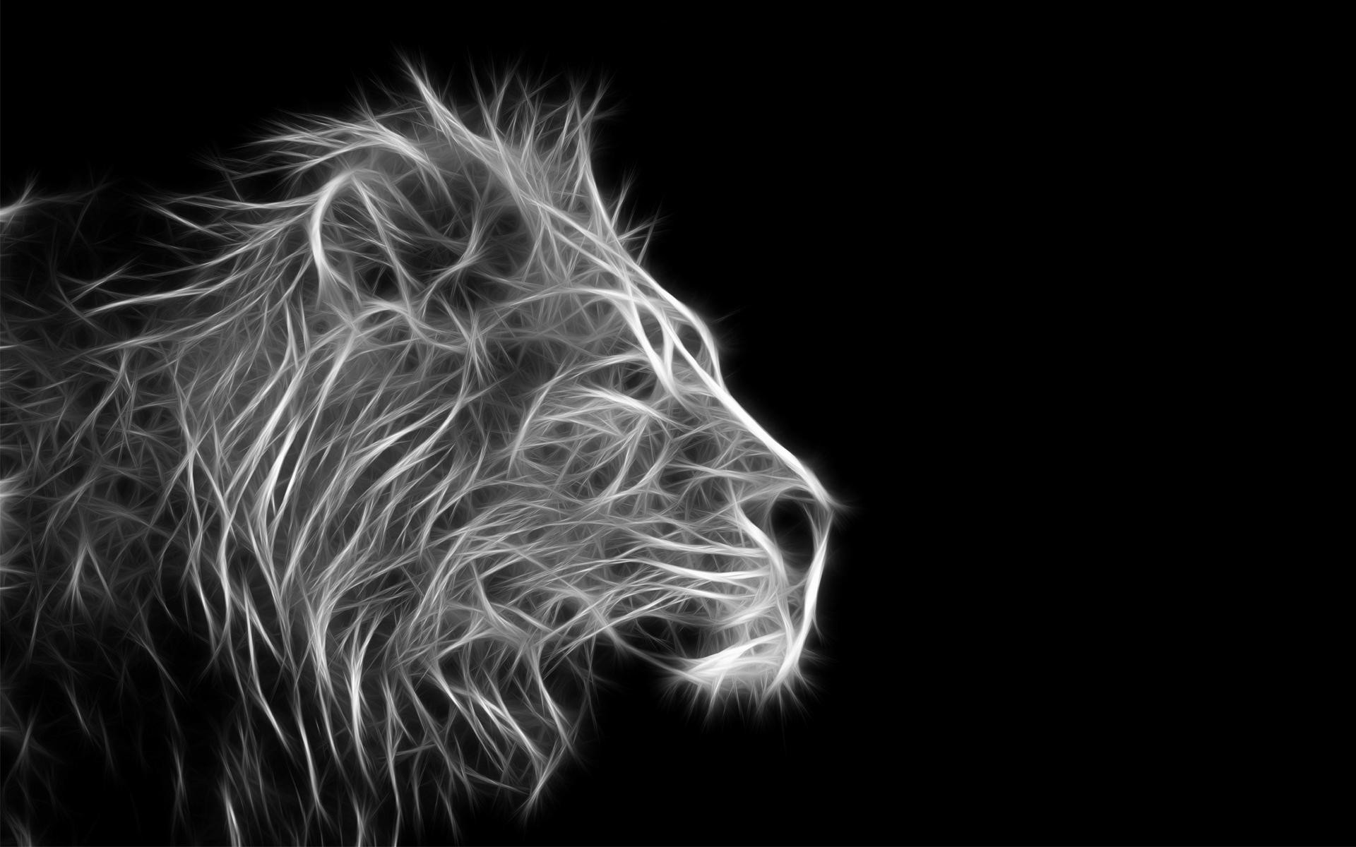 1920x1200 Lion Black And White Backgrounds