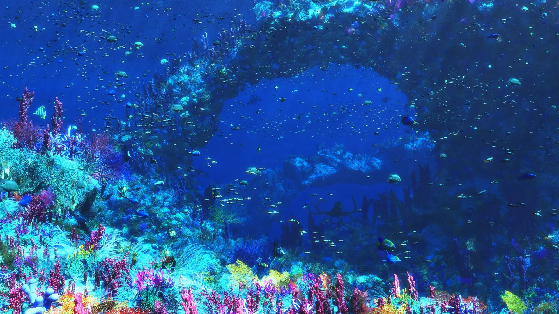 1920x1080 Ocean Underwater Wallpaper HD For Desktop.