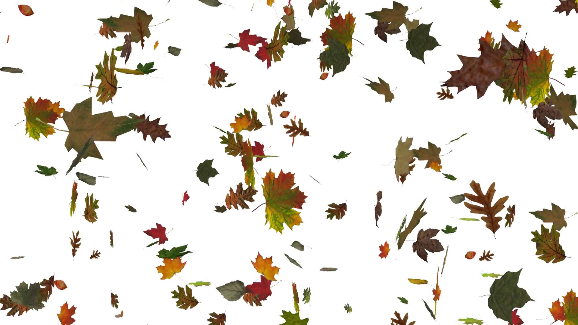 1920x1080 Fall Leaves Background Png