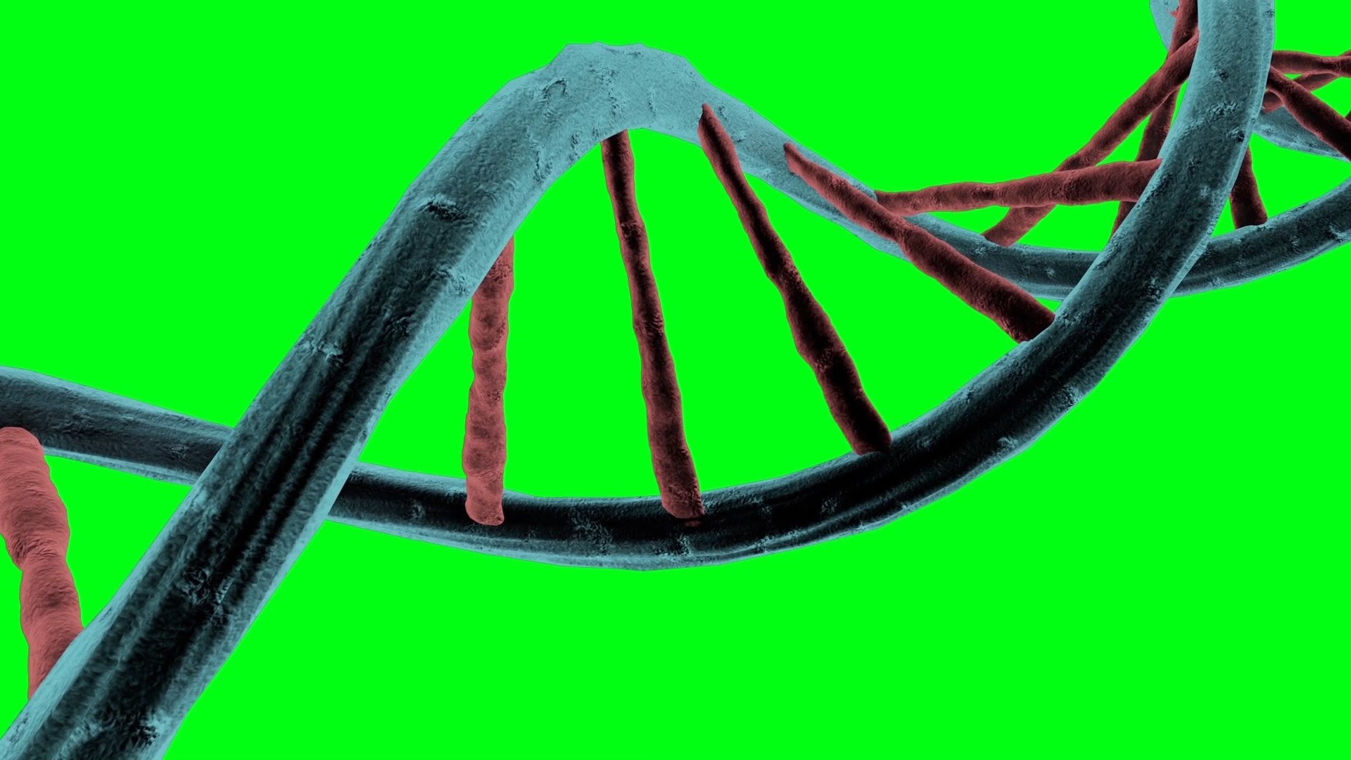 1920x1080 Green Screen Genetic Code DNA Structure Double Helix - Footage PixelBoom -  YouTube