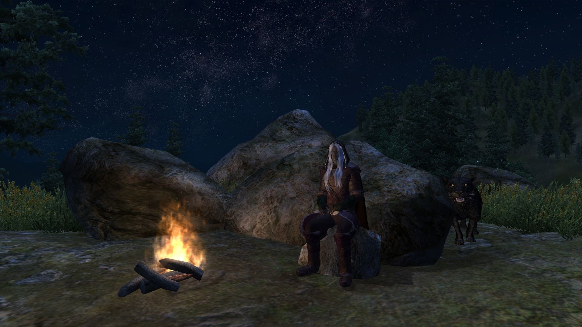 1920x1080 A night out in the wilderness with Drizzt and Guenhywar