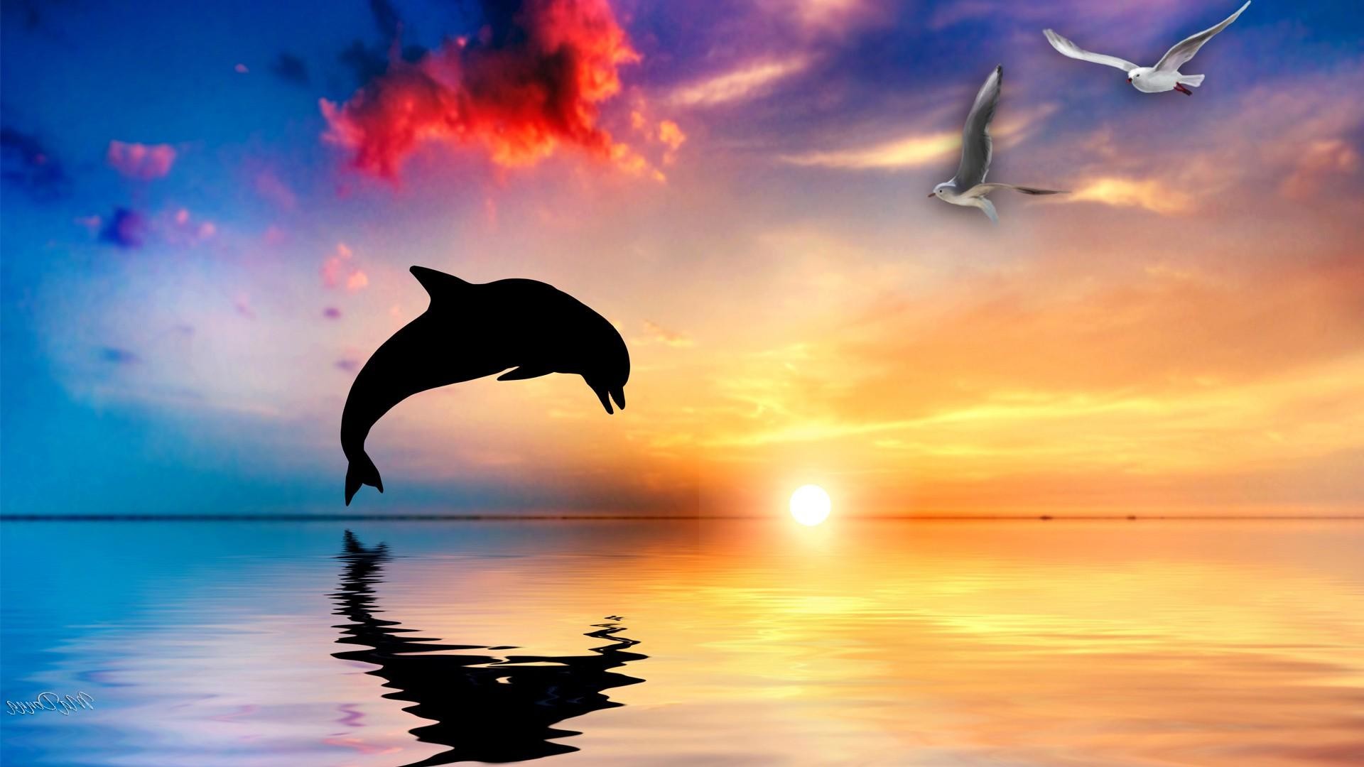 1920x1080 Dolphin Sunset Wallpapers High Definition