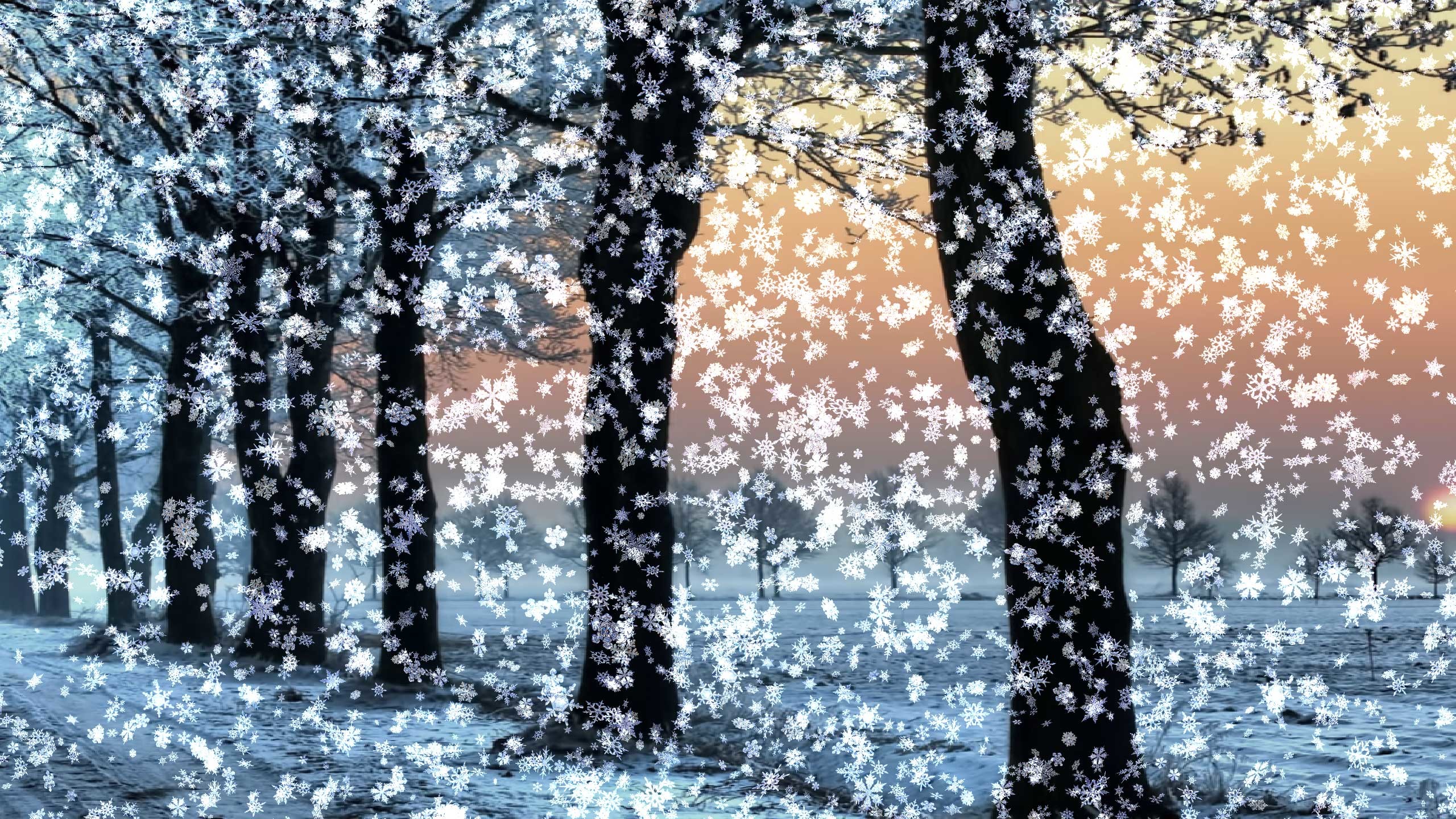 2560x1440 Snow Falling Wallpaper Animated