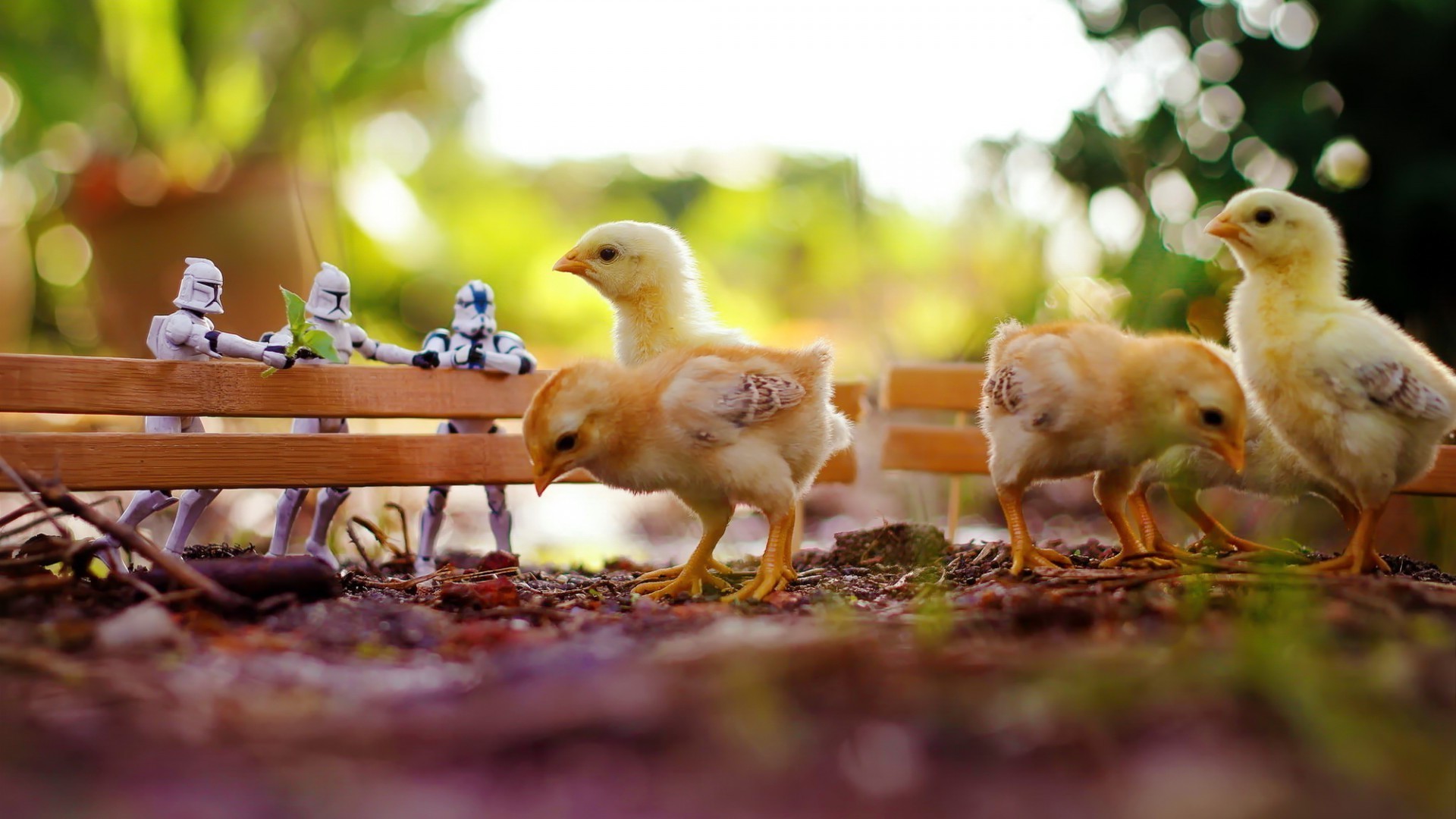 1920x1080 chickens birds stormtrooper fence toys bokeh Wallpapers HD / Desktop and  Mobile Backgrounds