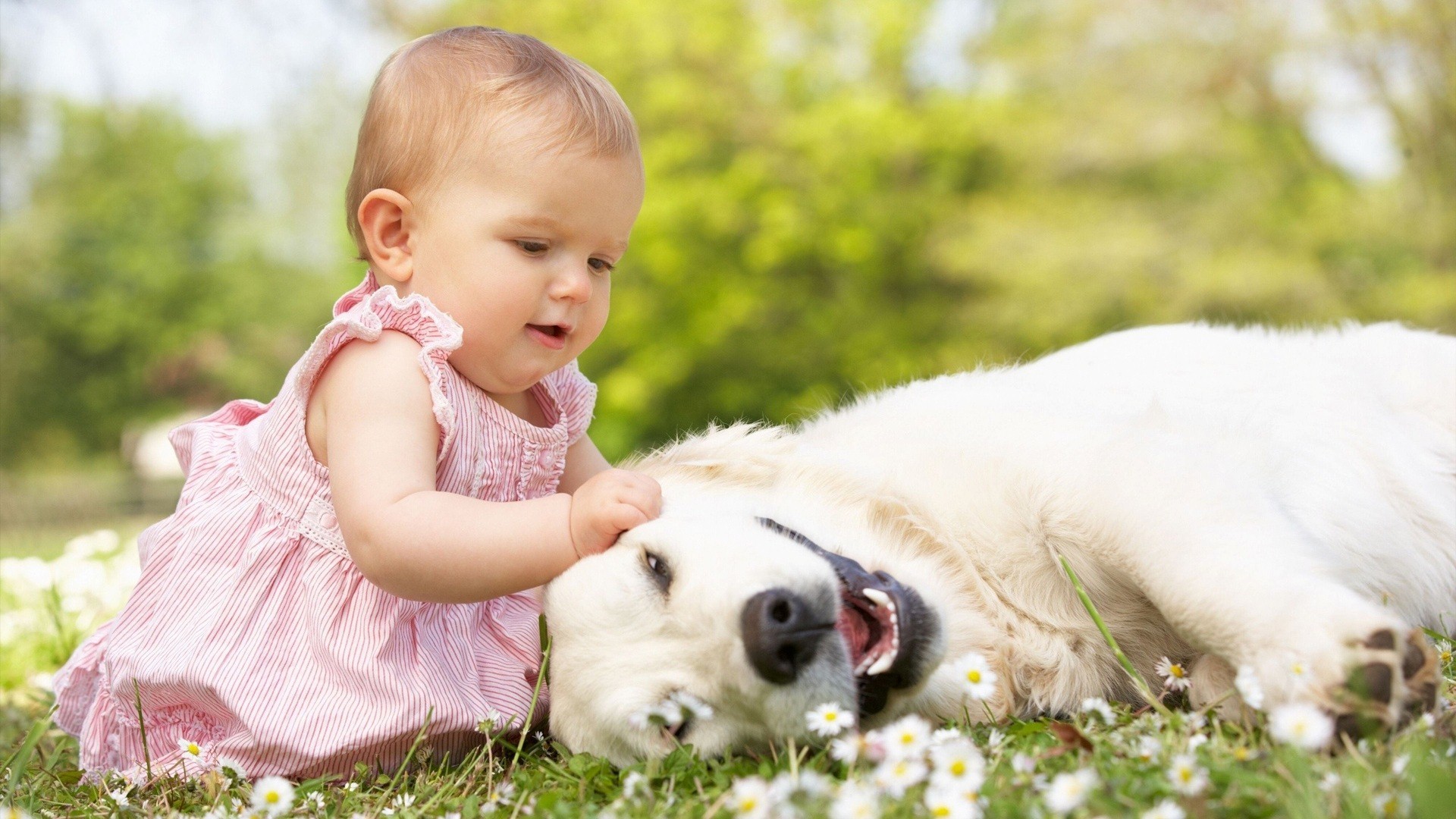 1920x1080 cute baby with dog #wallpapers