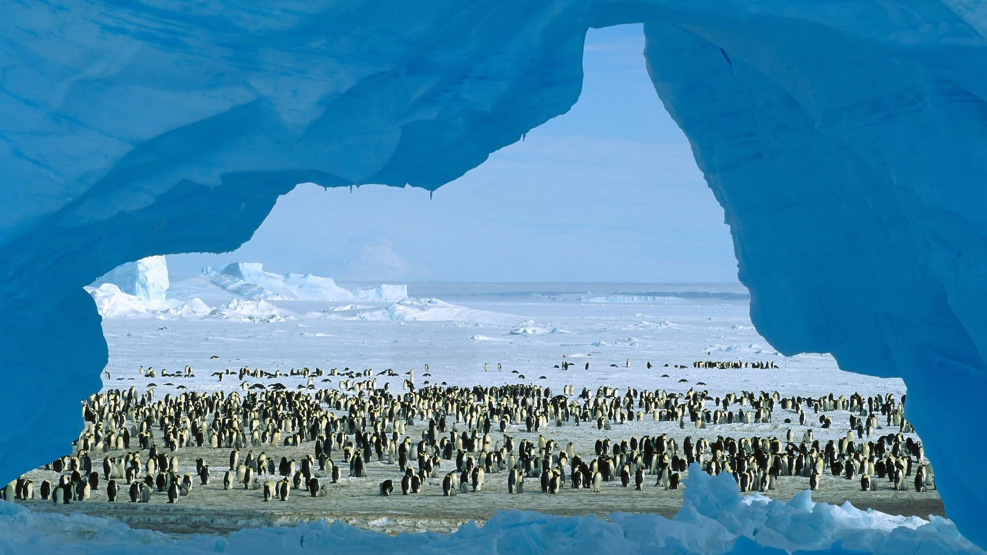 1920x1080 hd pics photos travel antarctica best world tour desktop background  wallpaper