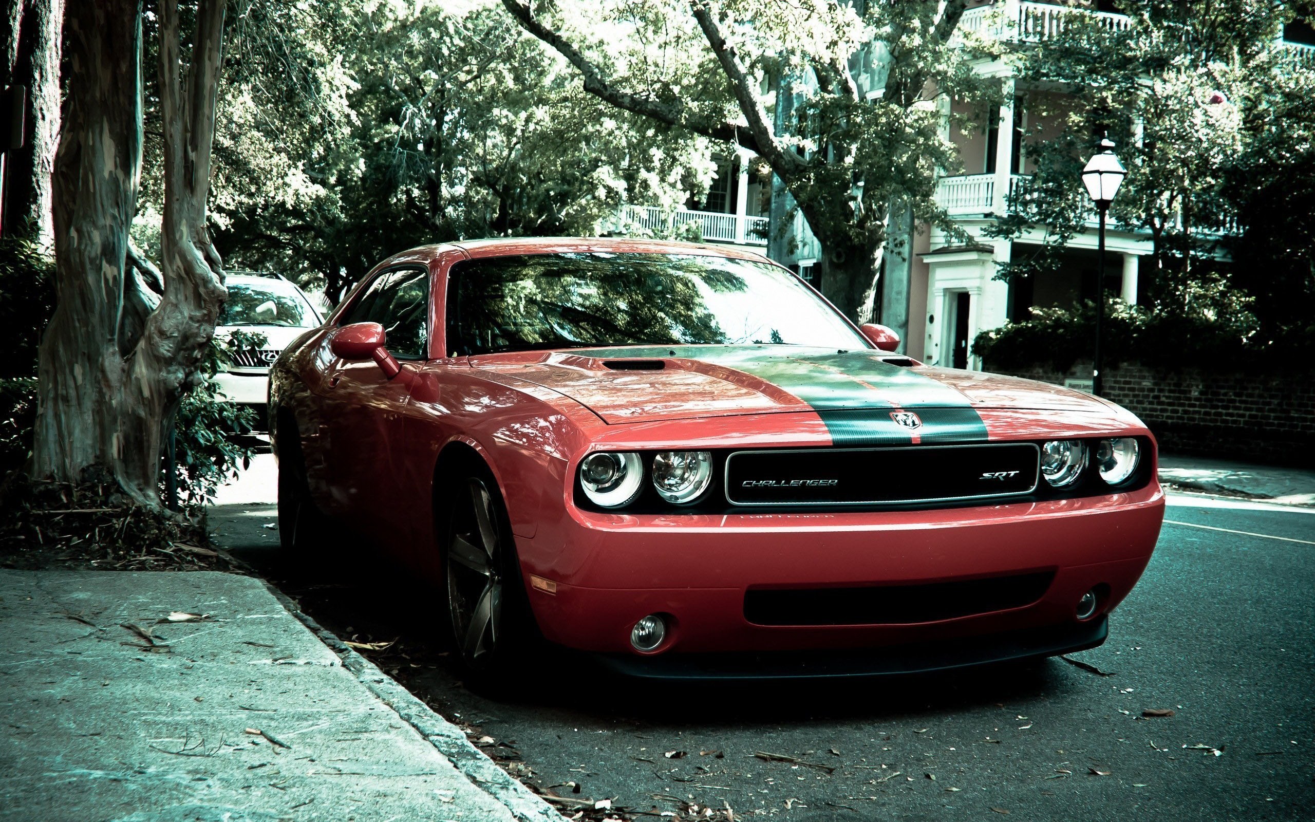 2560x1600 ... Free Muscle Car Wallpapers - Wallpaper Cave ...