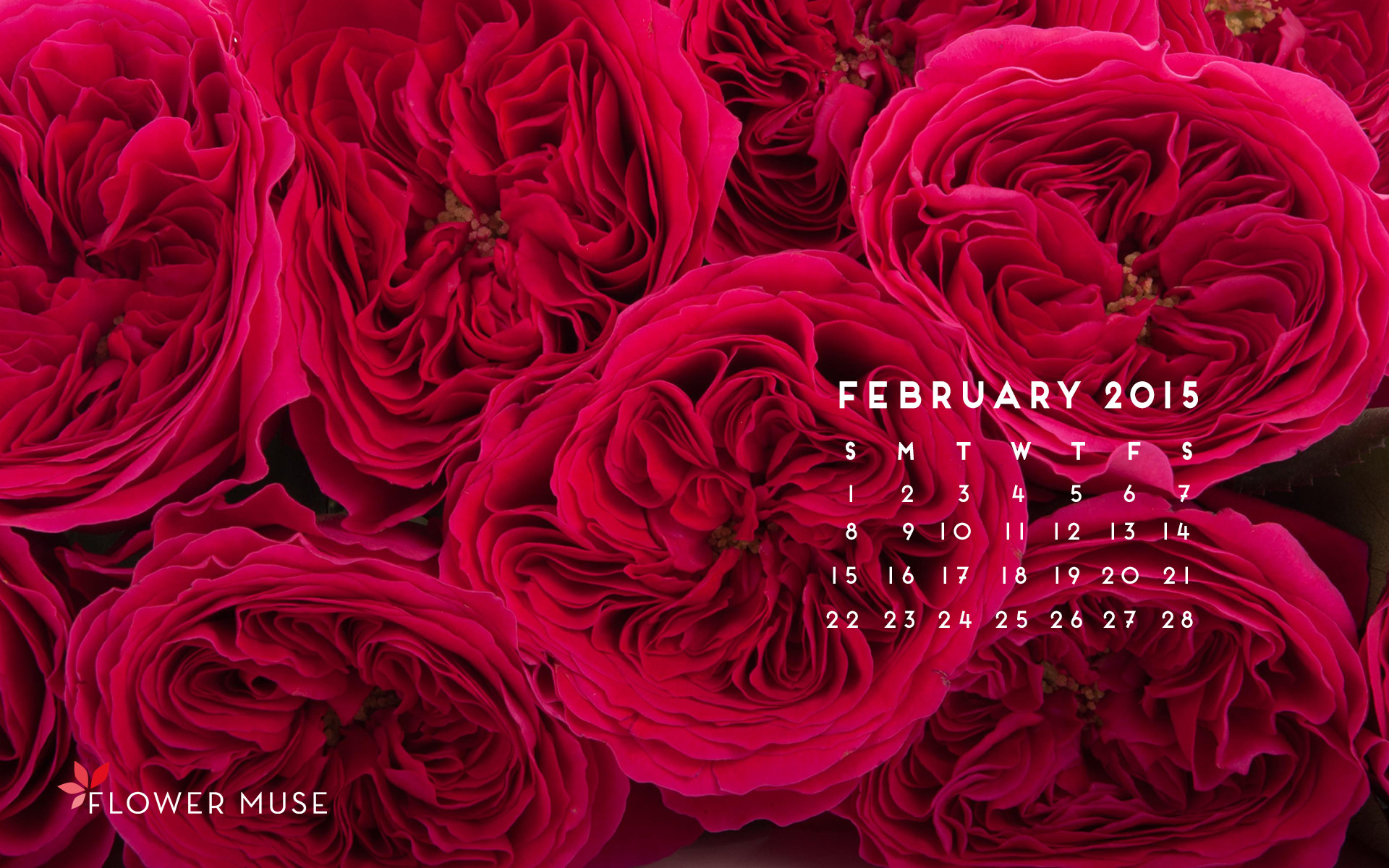1920x1200 February 2015 Calendar | Flower Muse Blog