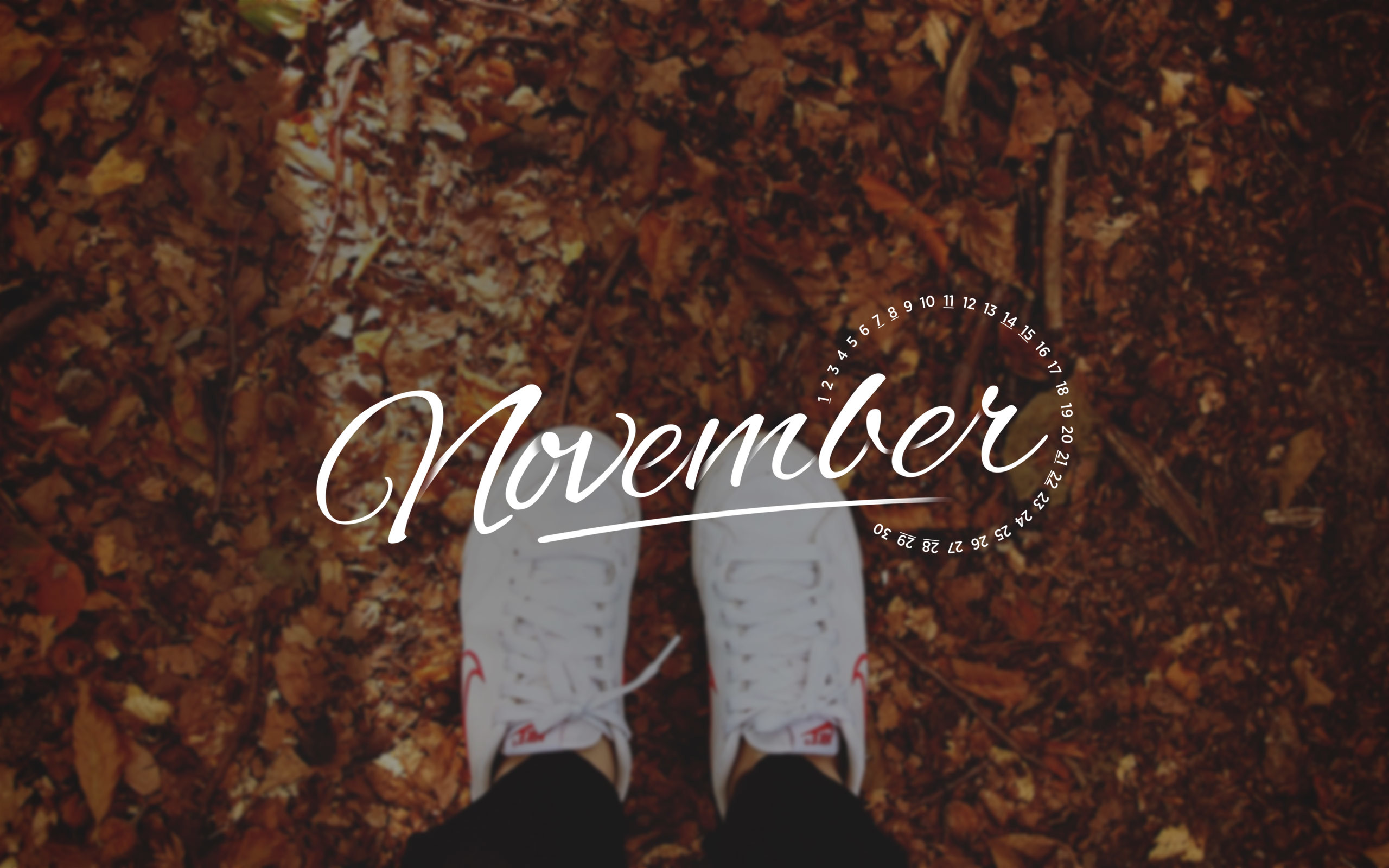 2560x1600 November 2015 Desktop Calendar Wallpaper