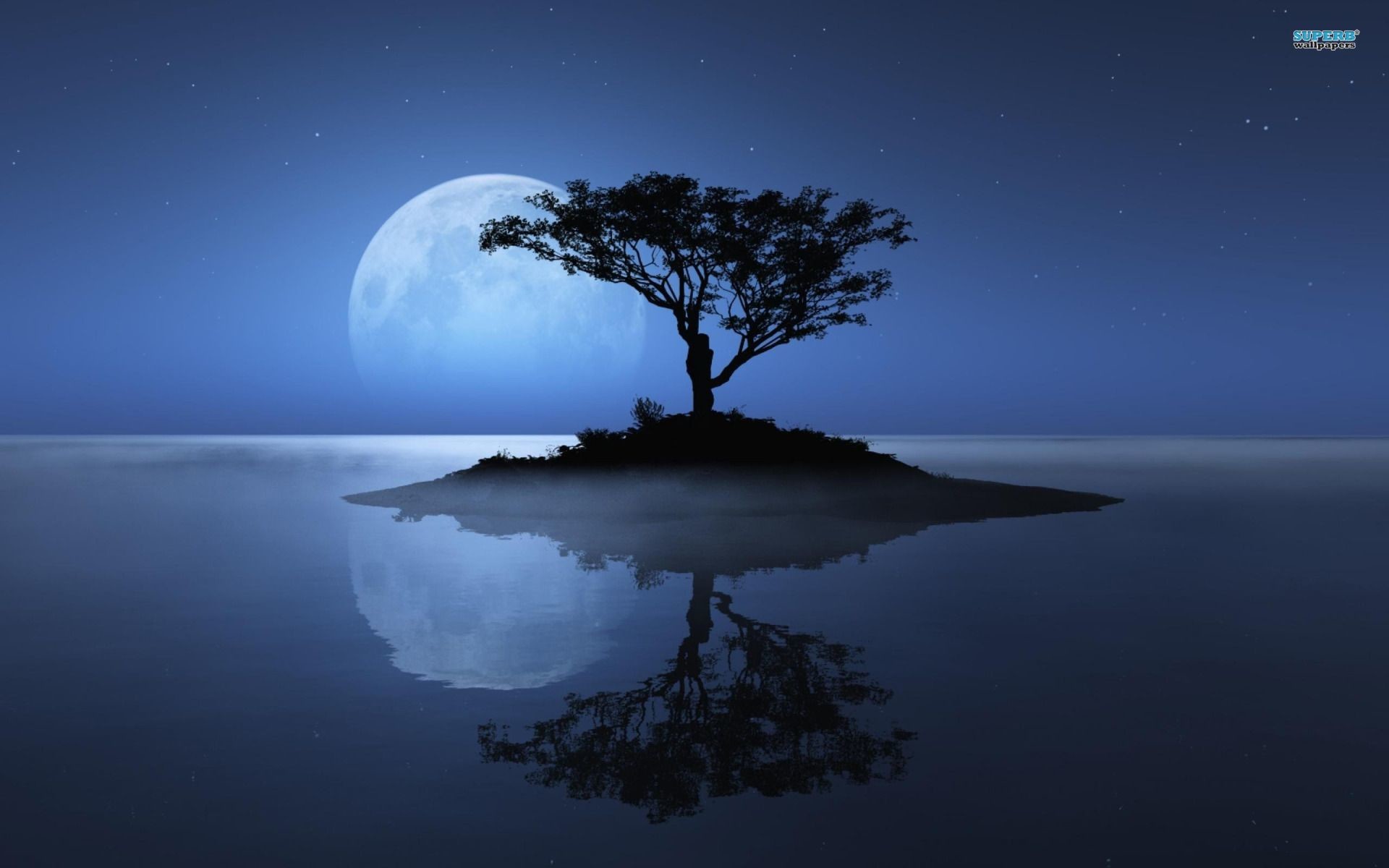 1920x1200 Blue Moon wallpapers picture