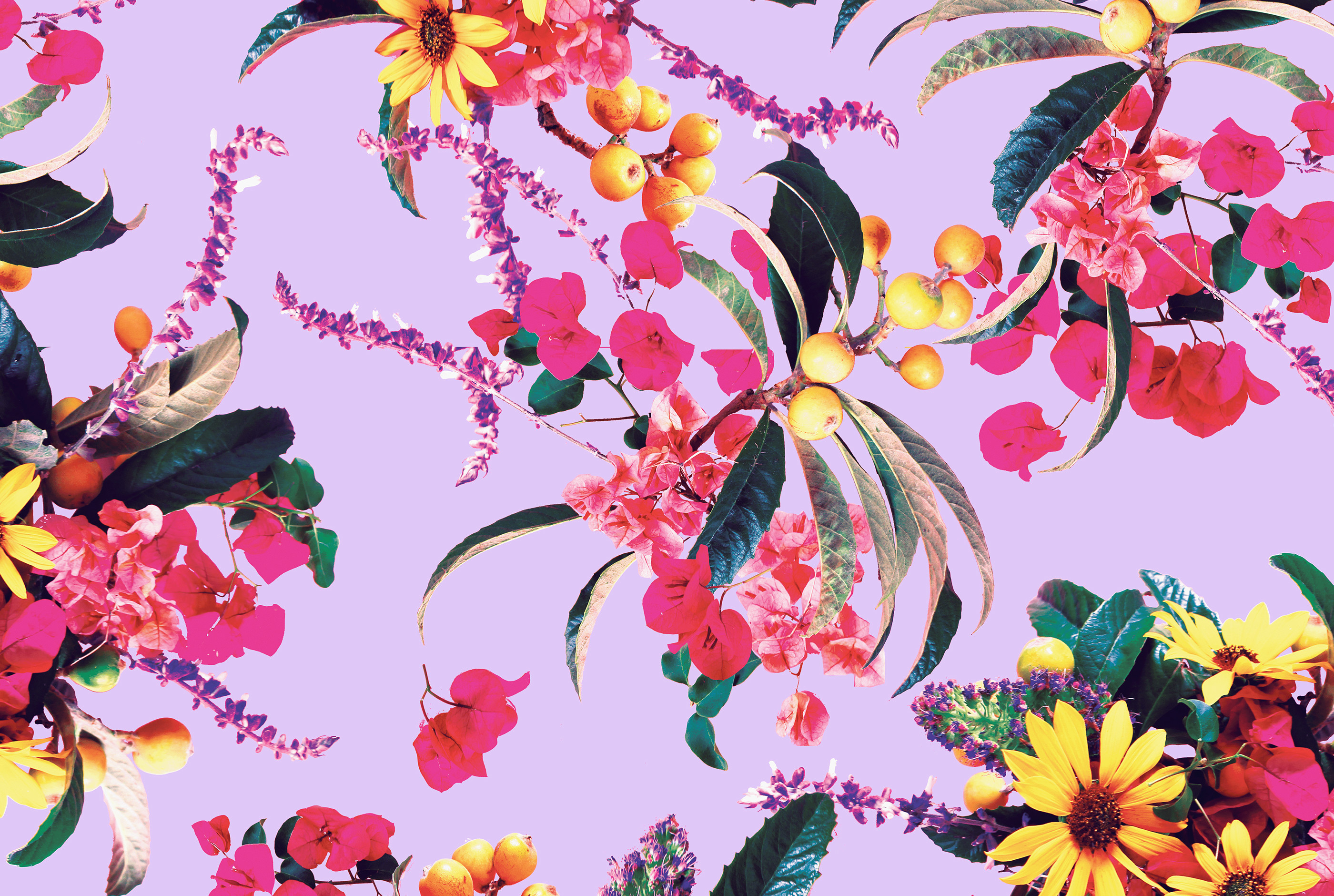 2800x1880 Freshen up your mobile or desktop backgrounds with these trendy free  digital wallpapers! Perfect way
