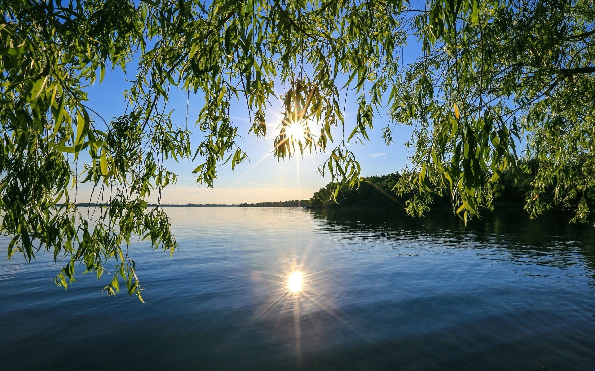 1920x1200 Sun light reflecting in the lake wallpaper - Nature wallpapers .