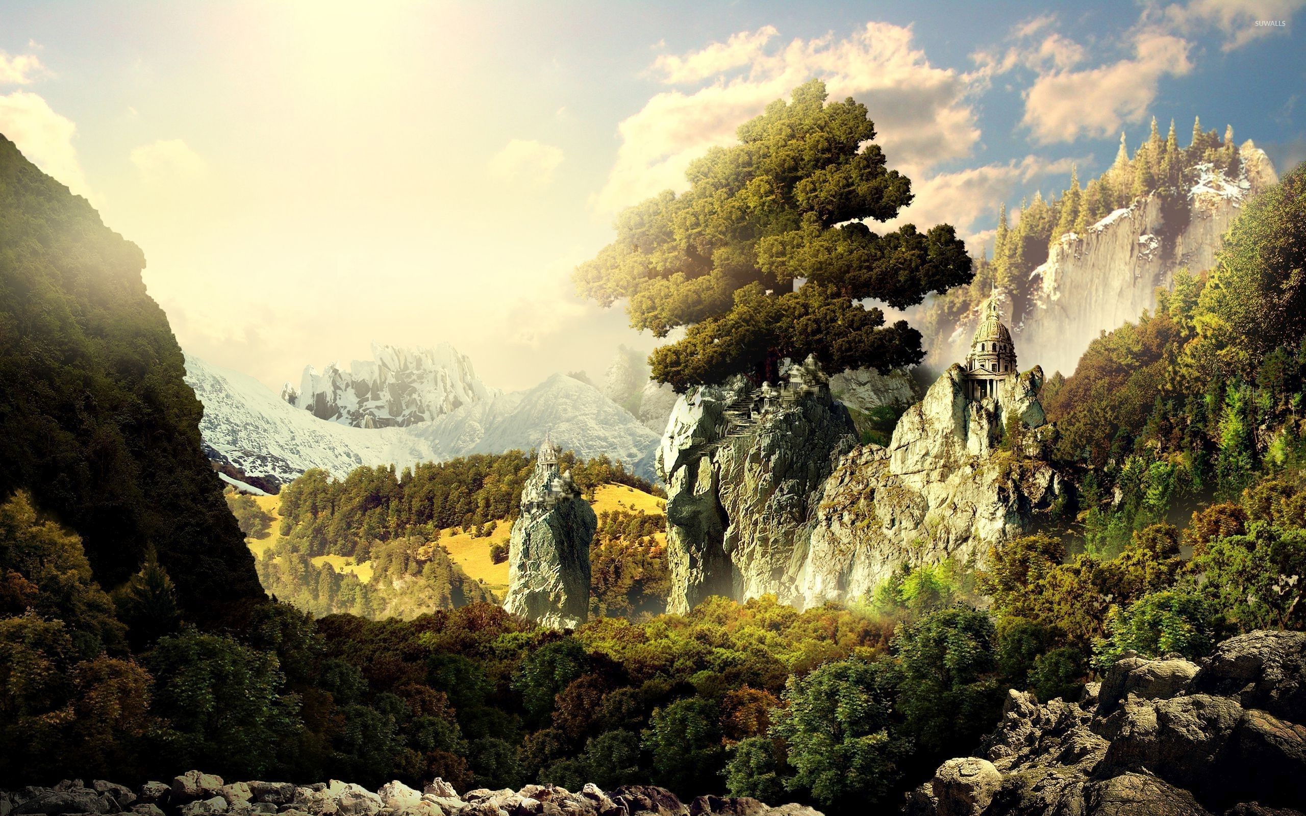 2560x1600 Tree of life on top of the rocky cliffs wallpaper