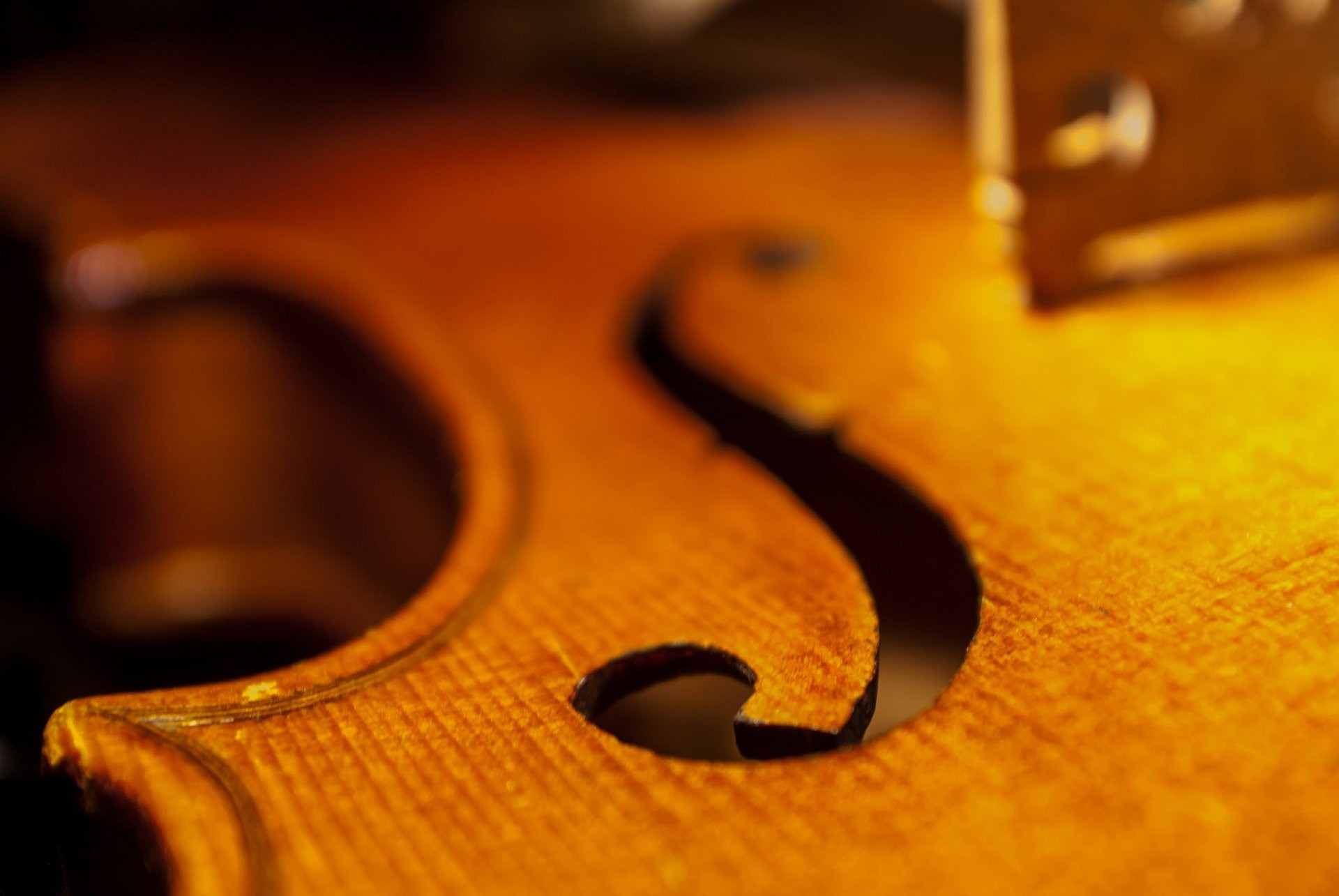 1920x1285 violin cello soundboard close up