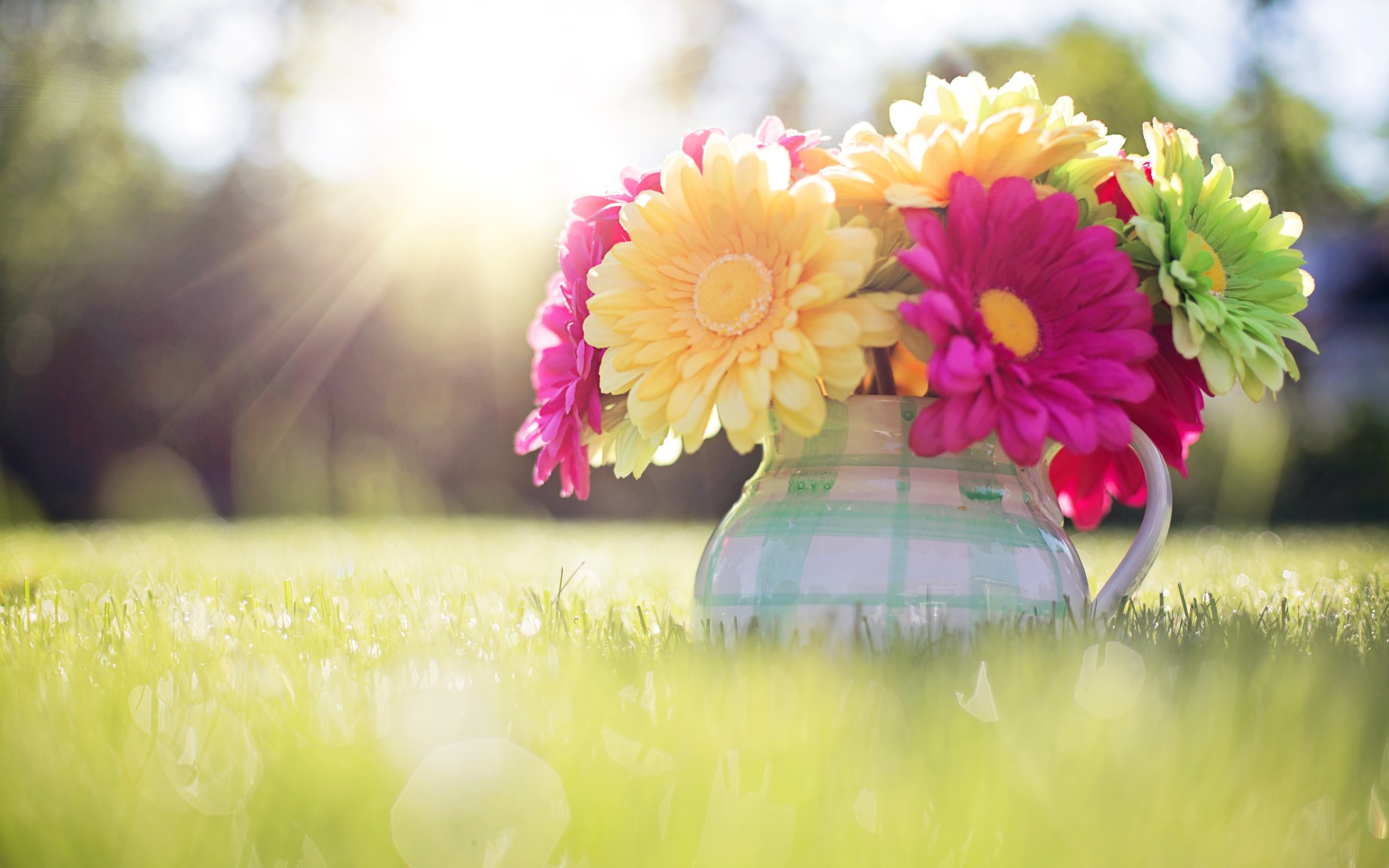 2880x1800 4K HD Wallpaper: Spring Â· 4 Free Pictures related to Spring to have it in  Phones, Desktop Screens, Blogs.