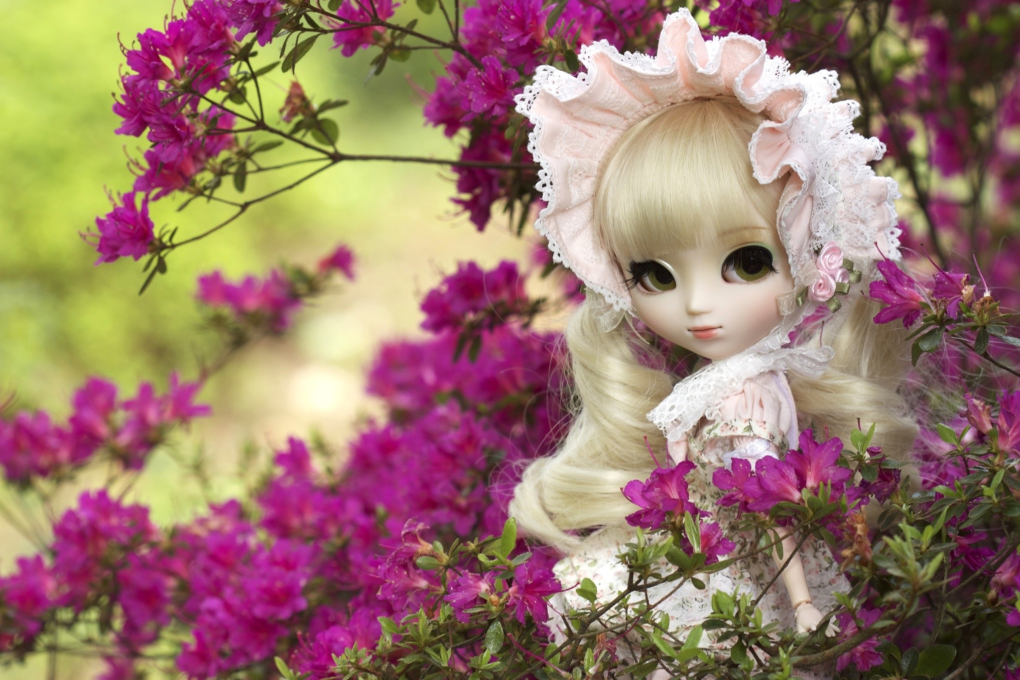 2048x1365 Very Cute Doll Wallpapers Doll Images Wallpapers Wallpapers)