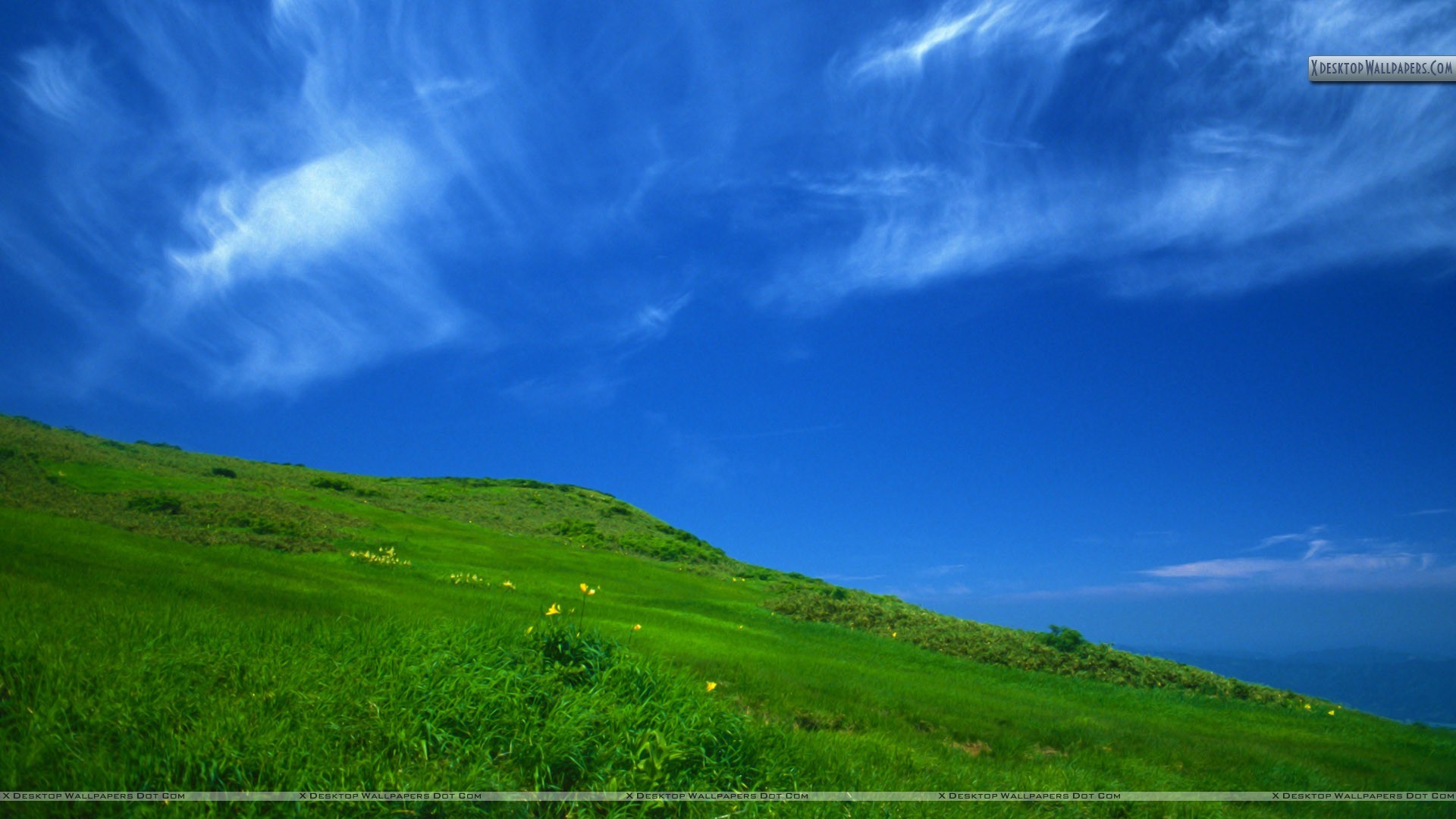 1920x1080 Clear Sky in a sunny day Wallpaper 