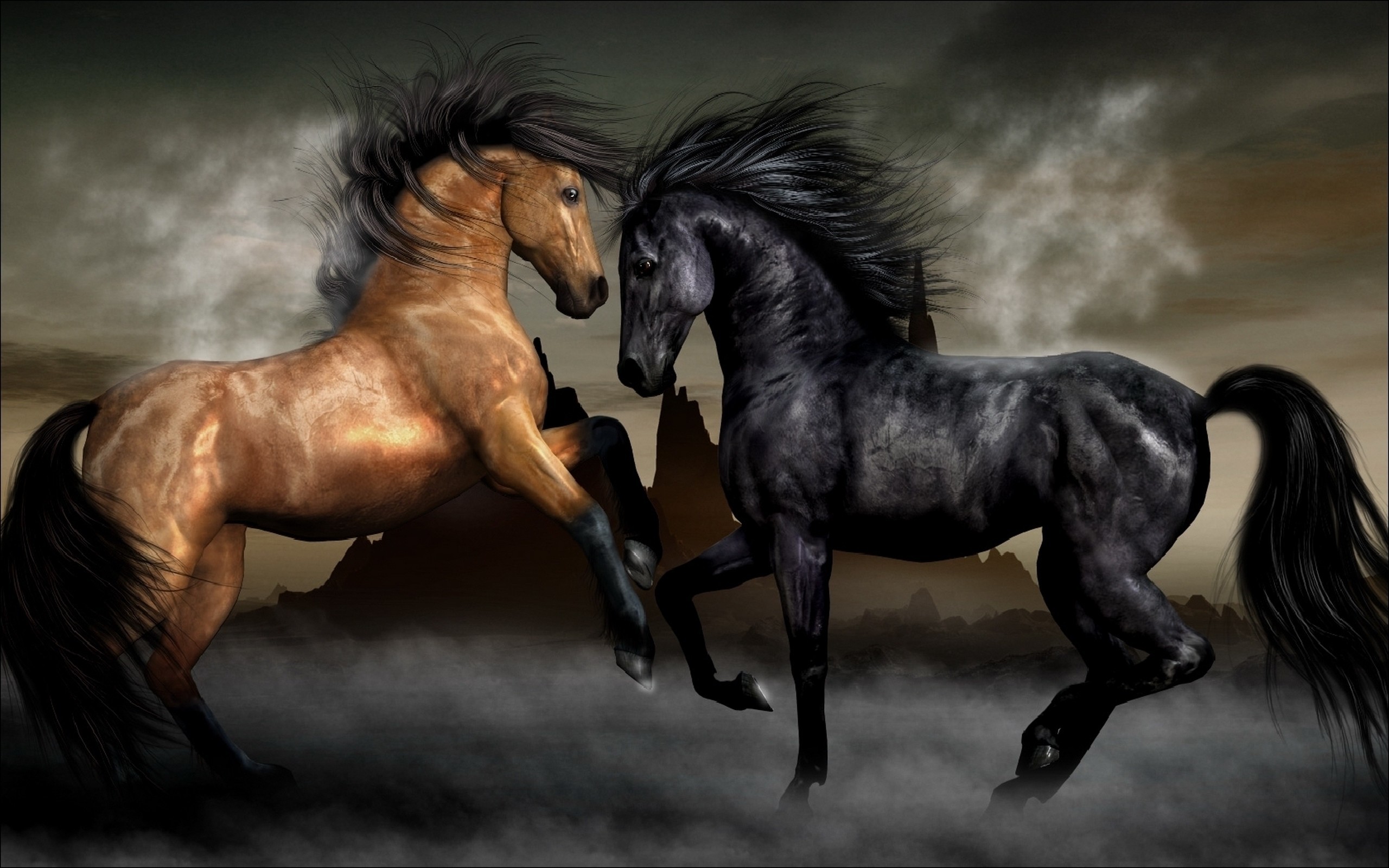 2560x1600 1920x1200 Black Horse HD Wallpapers For Pc