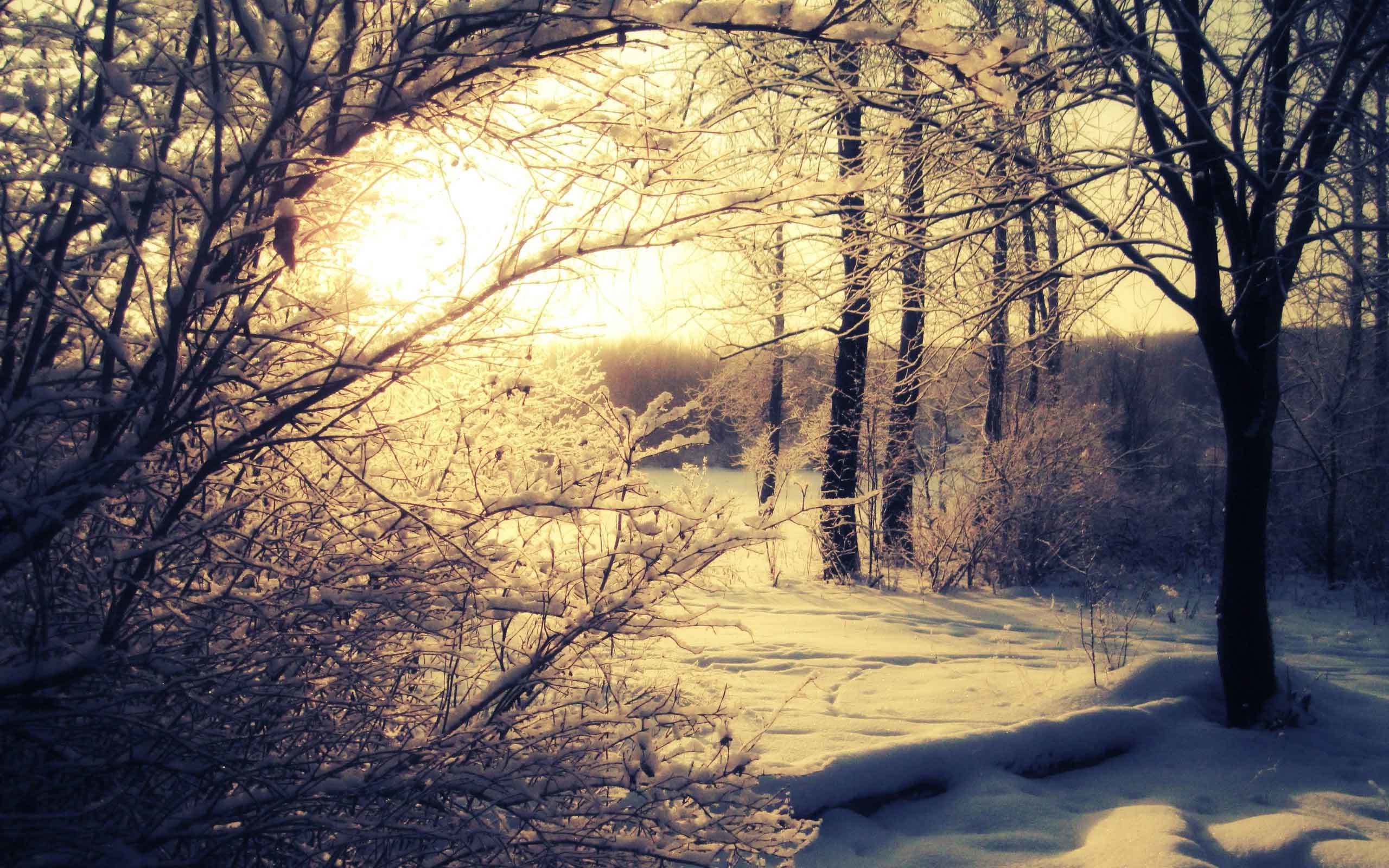 2560x1600 Sunrise Sunset Snow Landscape Winter Nature Wallpaper HD For Mobile 1080p