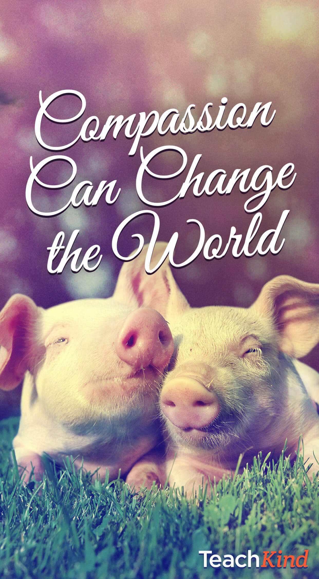 1242x2248 E-mail us a screenshot of your new background to TeachKind@peta.org with  the subject line “Phone Backgrounds,” and be sure to include your name, your  ...