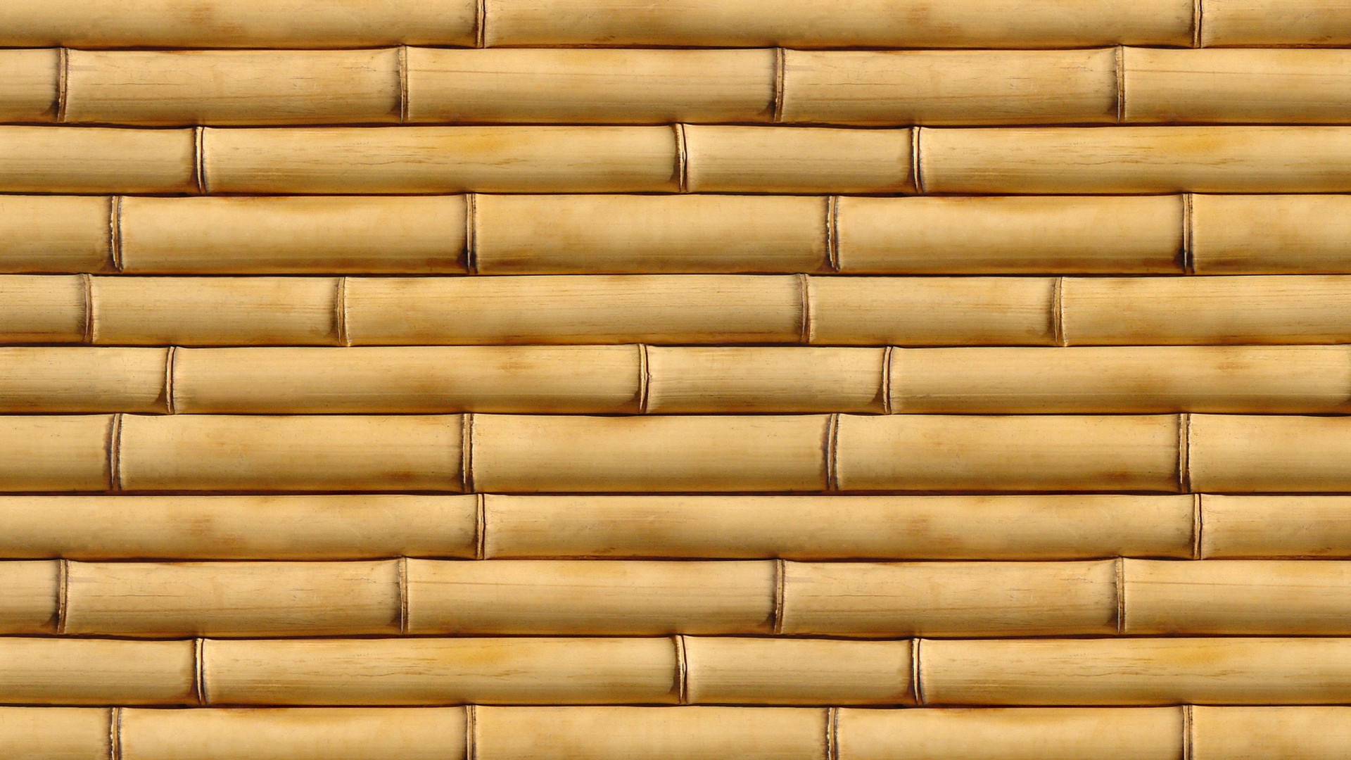 1920x1080  Wallpaper bamboo, vertical, wood