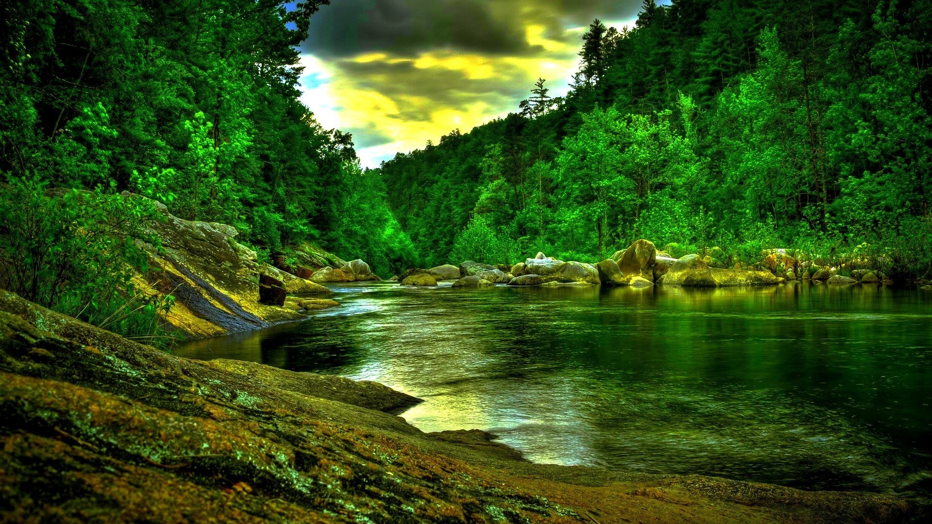 1920x1080 Beautiful Green Forest River Hdr HD Desktop Background