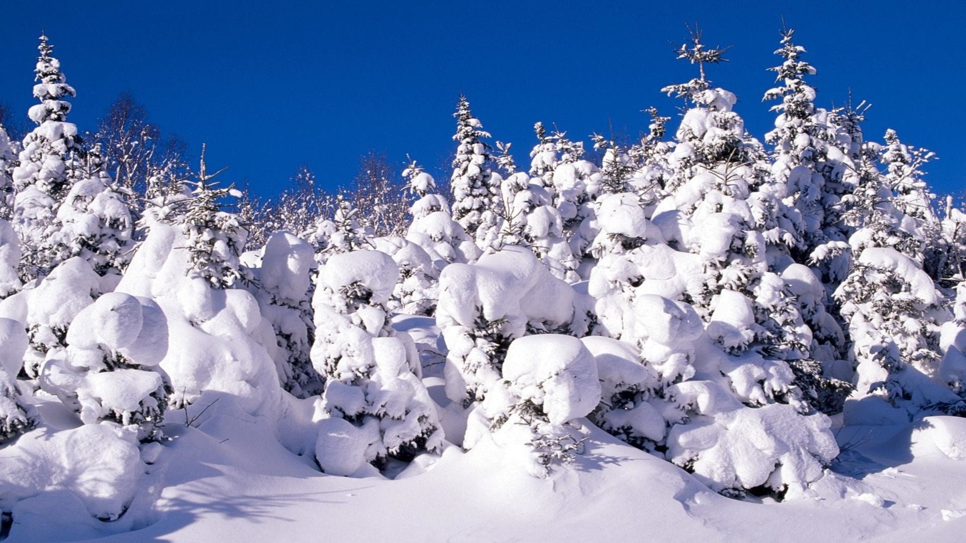 1920x1080 Canada Landscape Snow