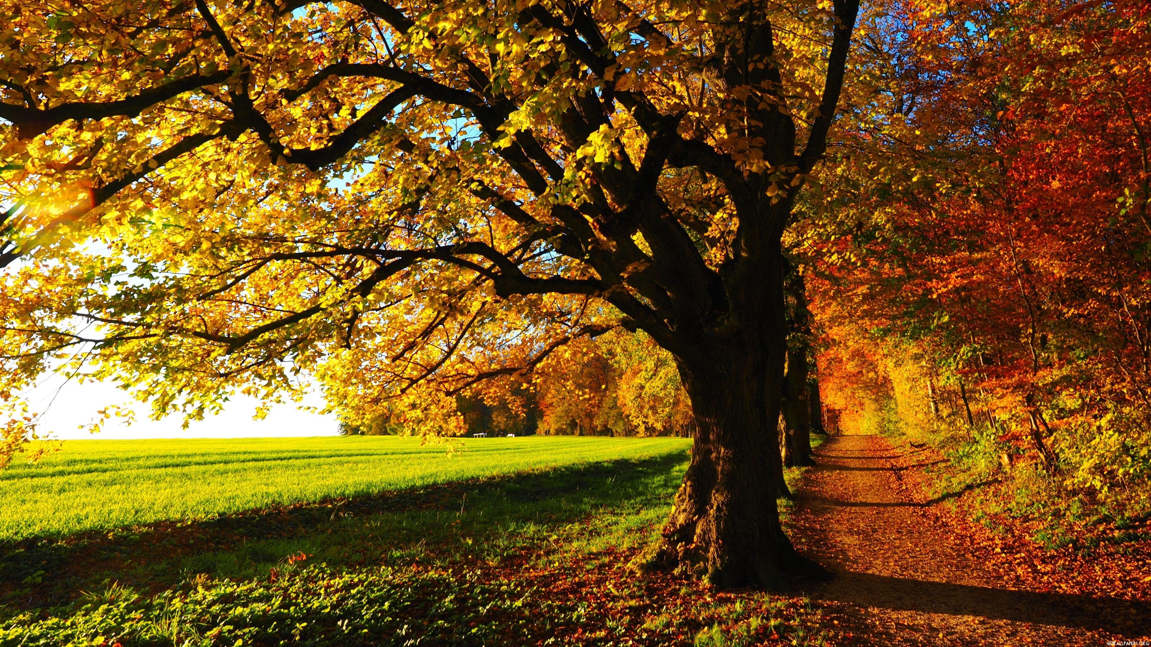 3840x2160 autumn scenery wallpaper: High Definition Backgrounds (Radburn Allford 3840  x 2160)