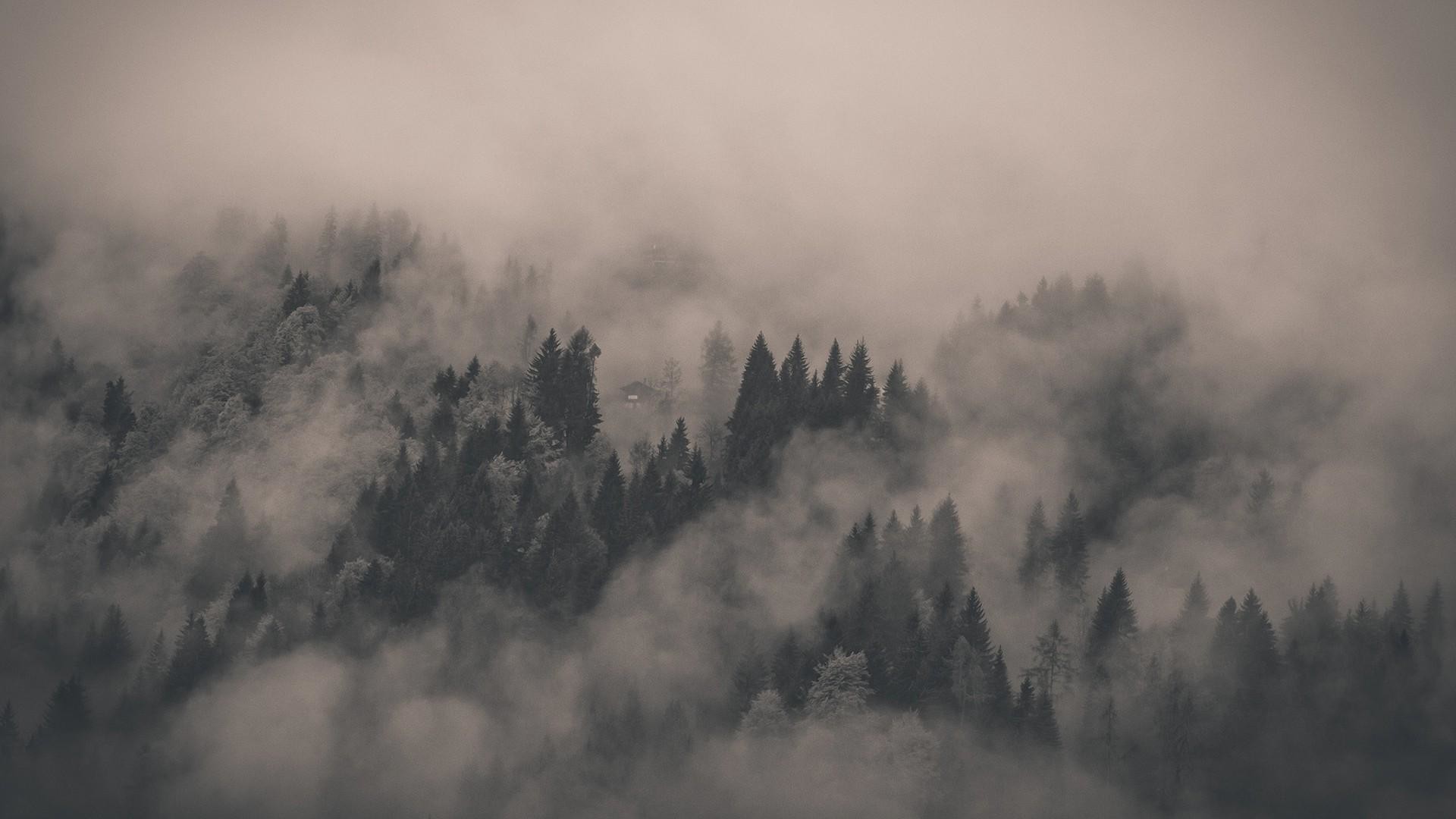 1920x1080 wallpaper.wiki-Desktop-Foggy-Forest-Pictures-PIC-WPB004355