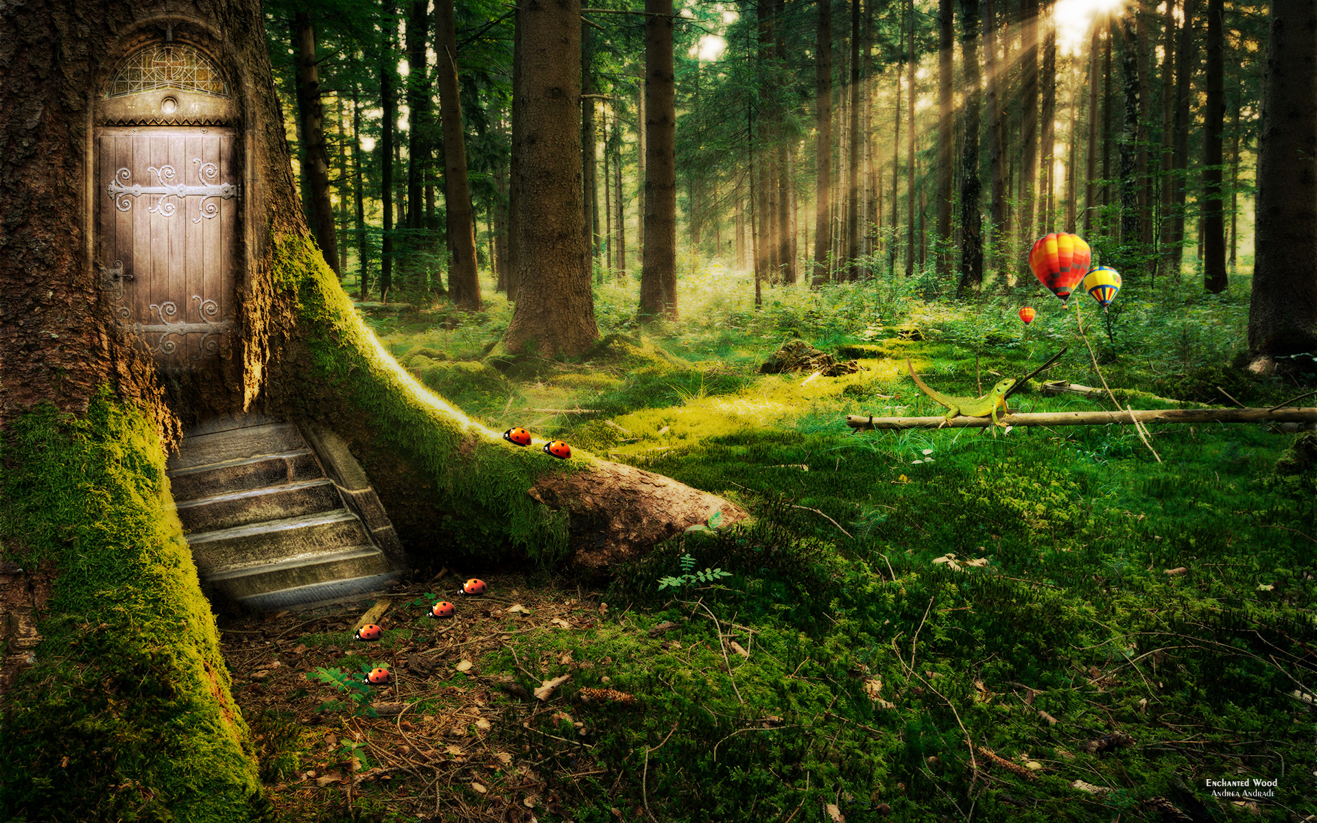 1920x1200 enchanted forest | Tree With a Door Enchanted Forest Hd wallpaper - HD  Wallpapers