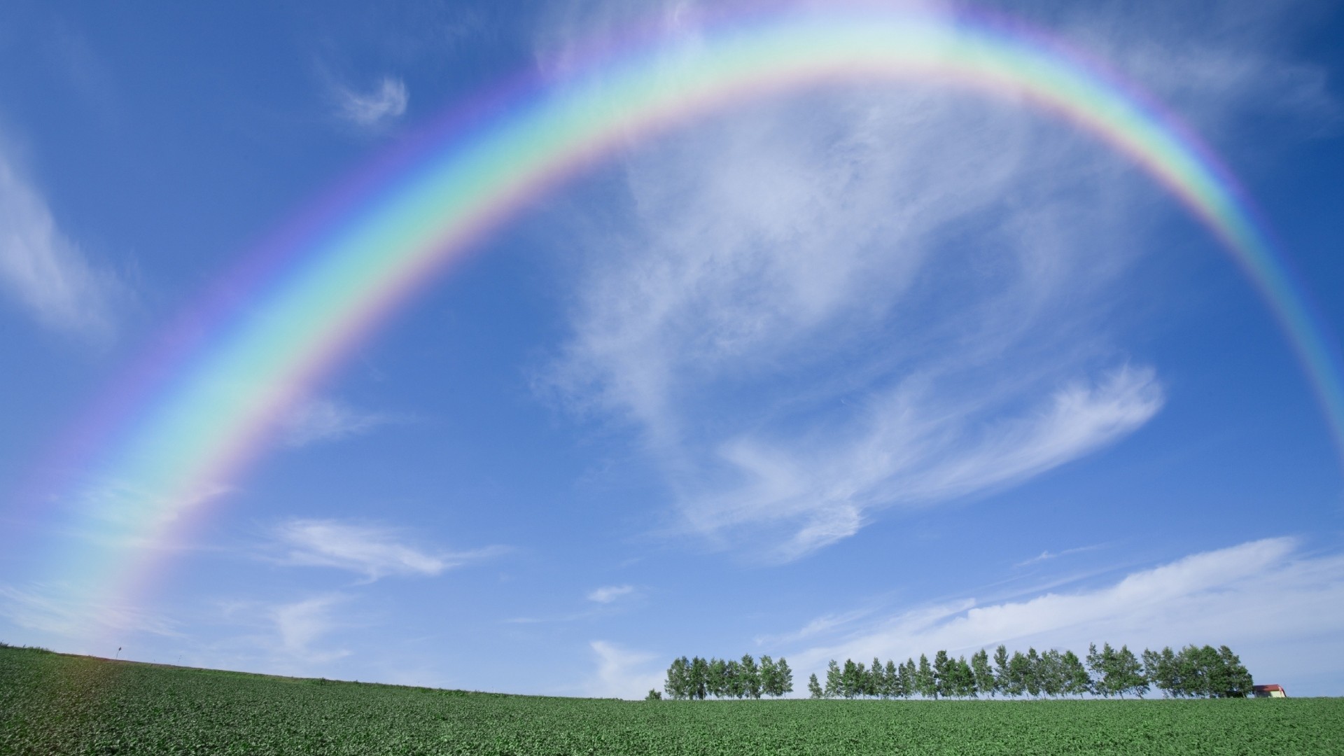 1920x1080  Wallpaper rainbow, sky, clear, from below, arch, trees, summer