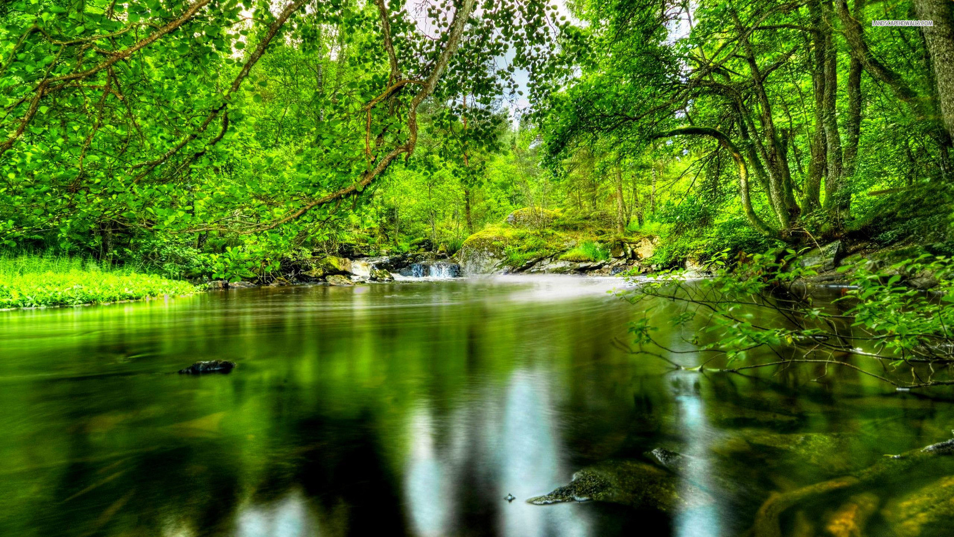 1920x1080 hd forest river nature wallpapers 