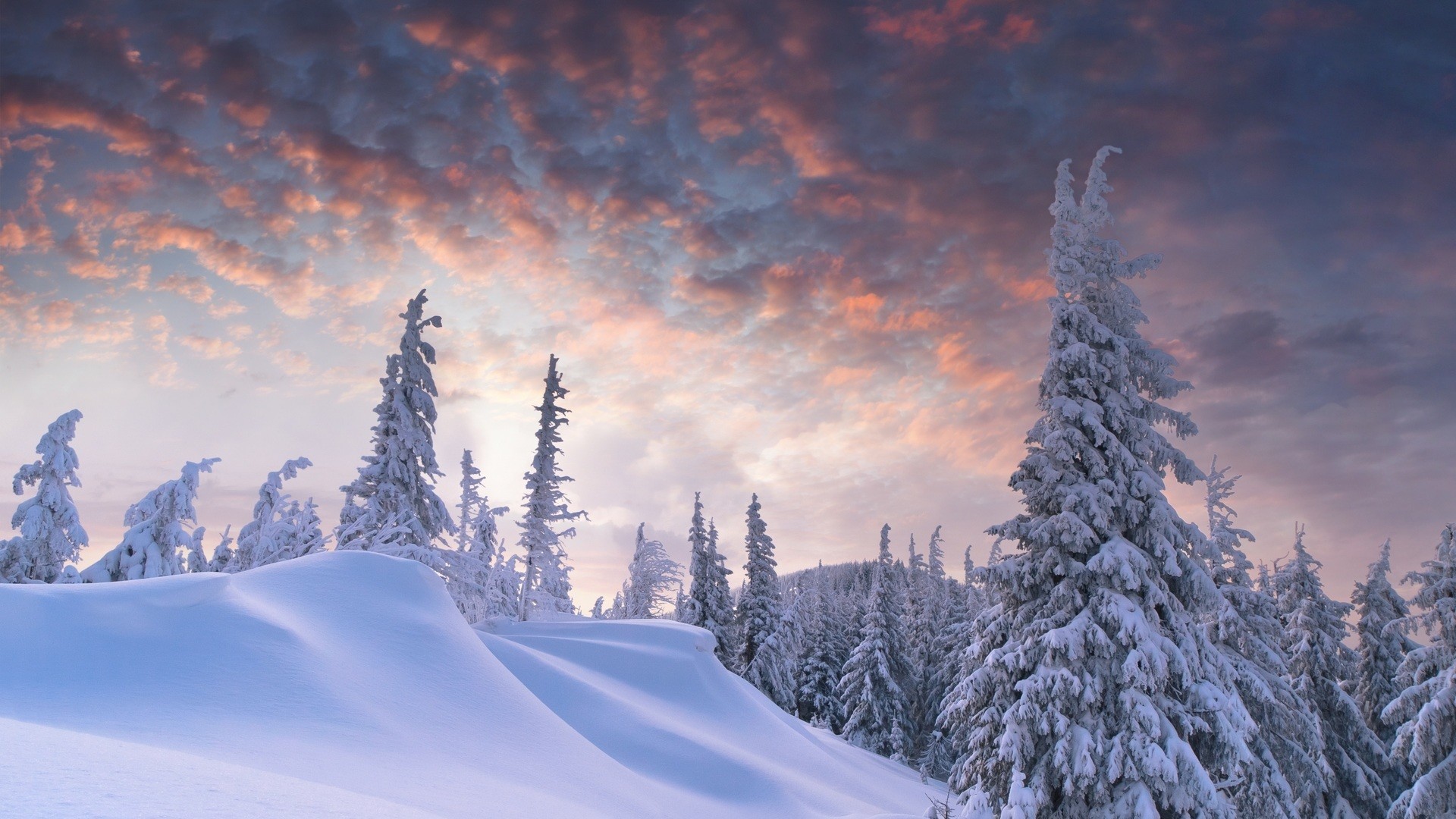 1920x1080  christmas scenery | Free Download HD Snowy Christmas Scene .