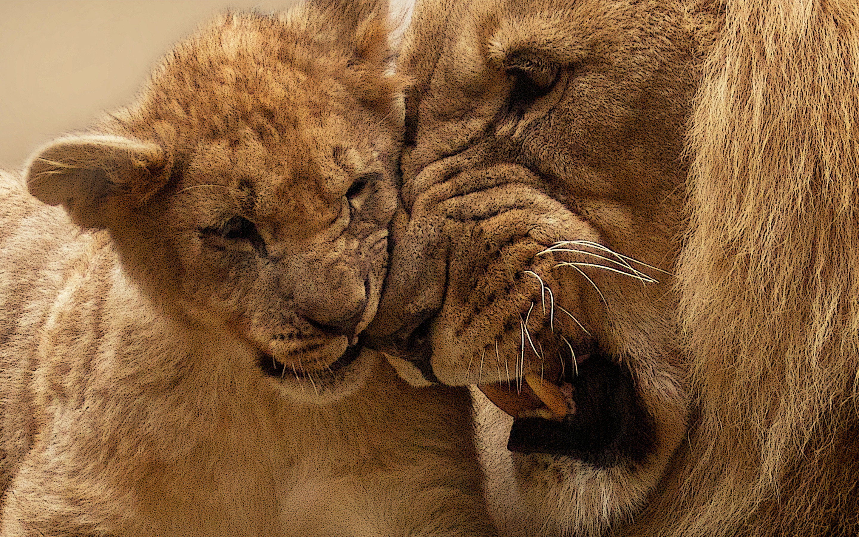 2880x1800 Lion Mother Cub